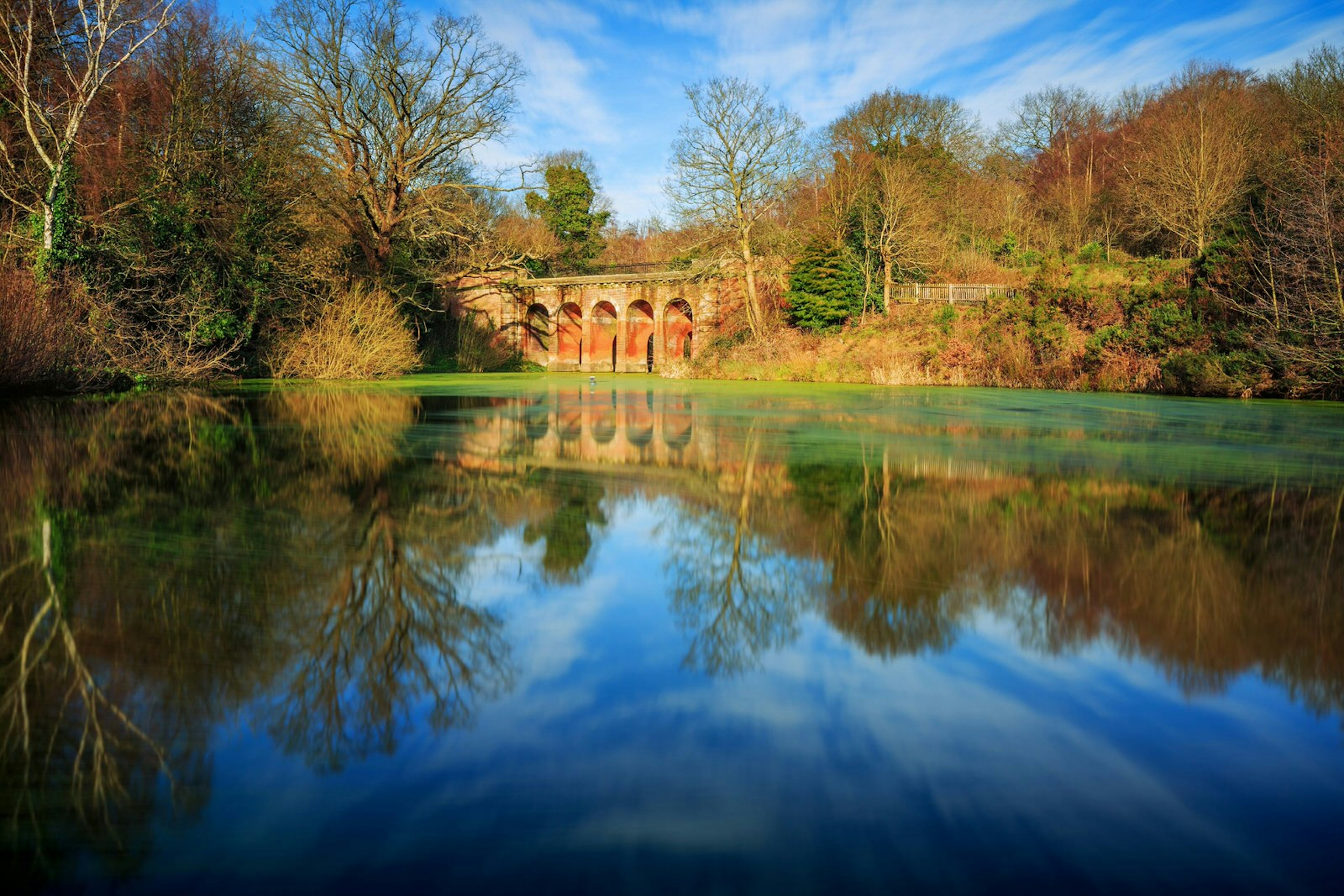 The headwaters of the now-subterranean River Fleet rise on Hampstead Heath © Tedz Duran / 500px