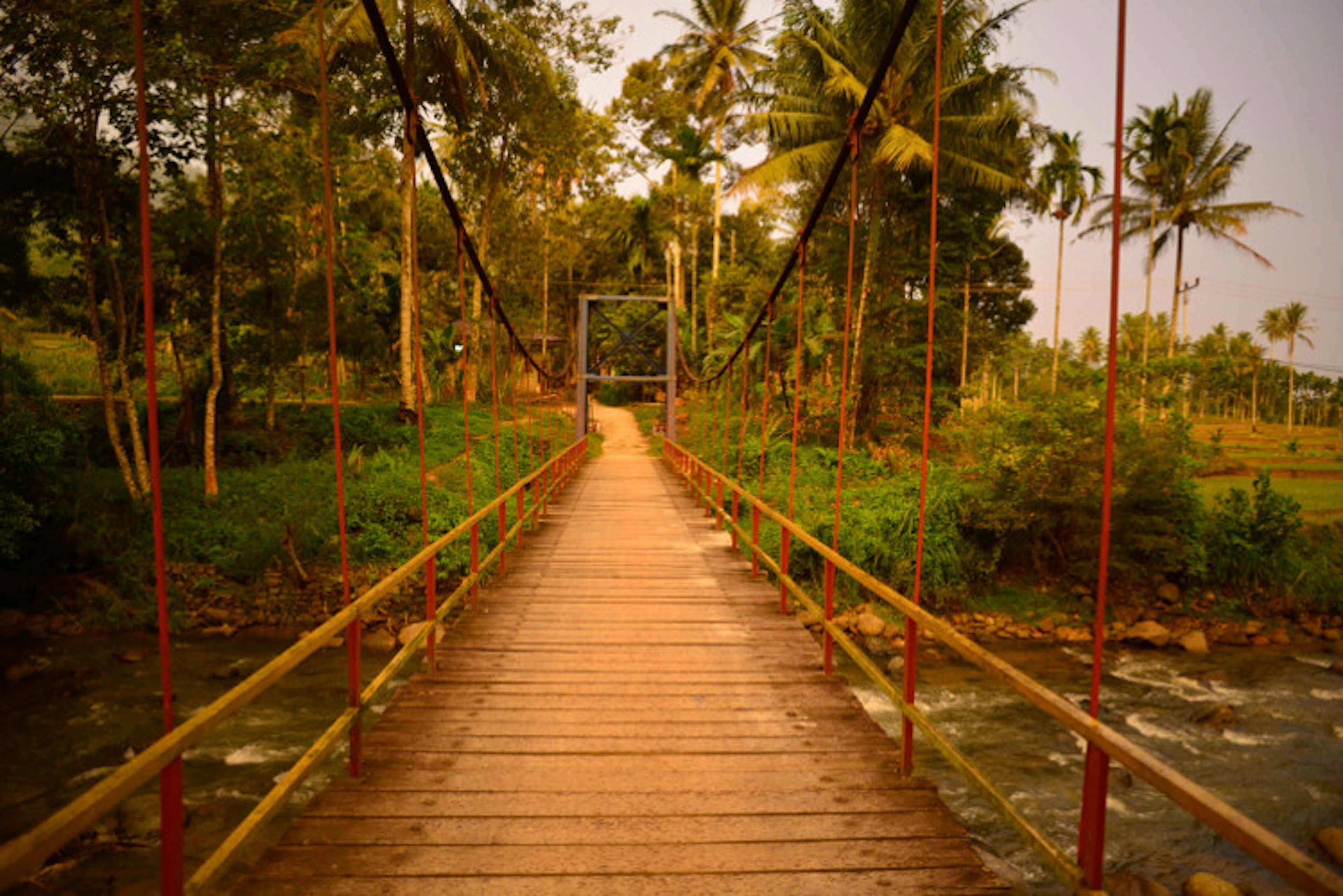 A suspended footbridge connects the jungle-clad banks of a Kerinci river, Sumatra. Image by Mark Eveleigh