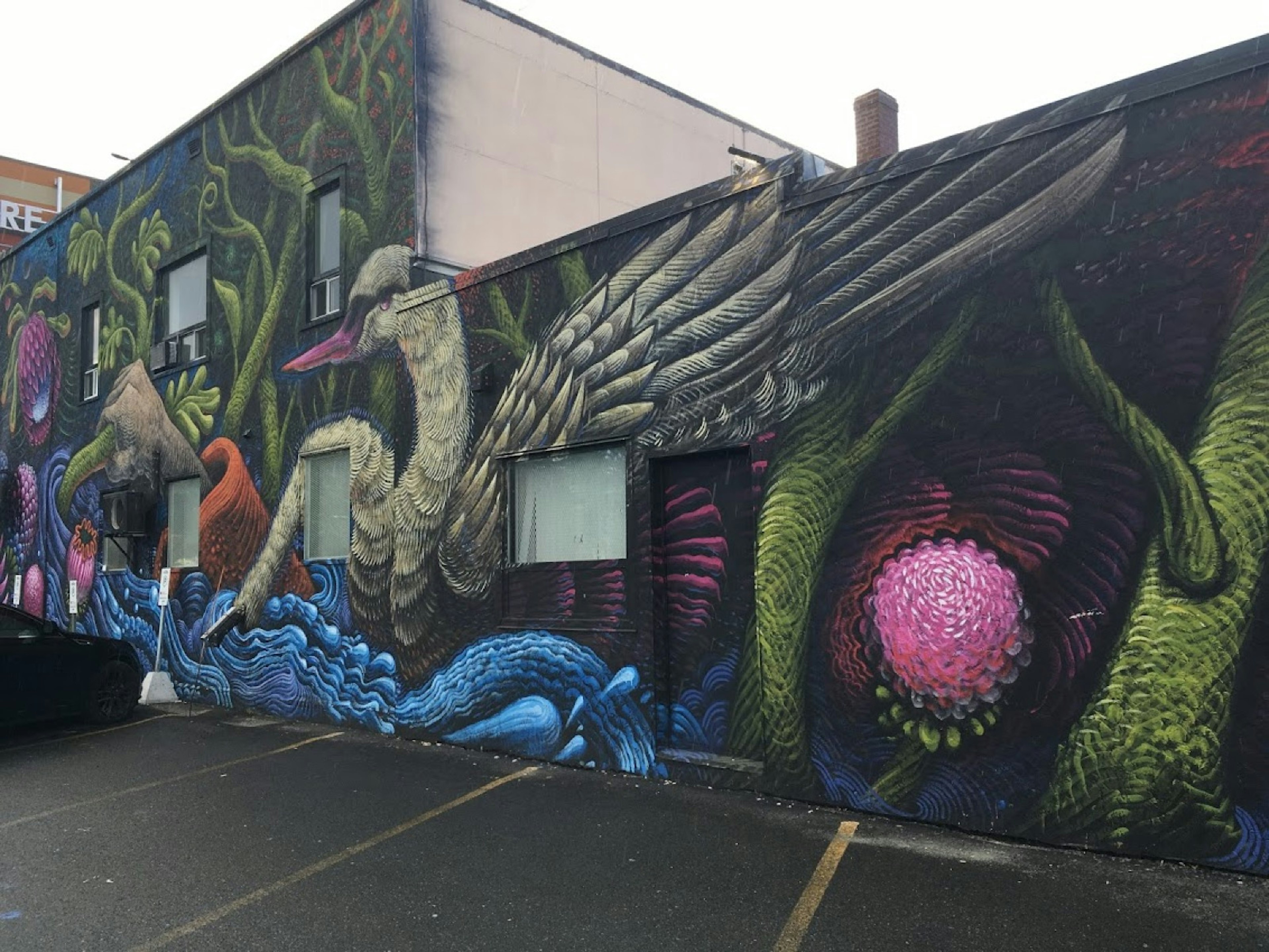 A colorful mural shows a swan on a black background on the side of a building @ Fiona Tapp / Lonely Planet