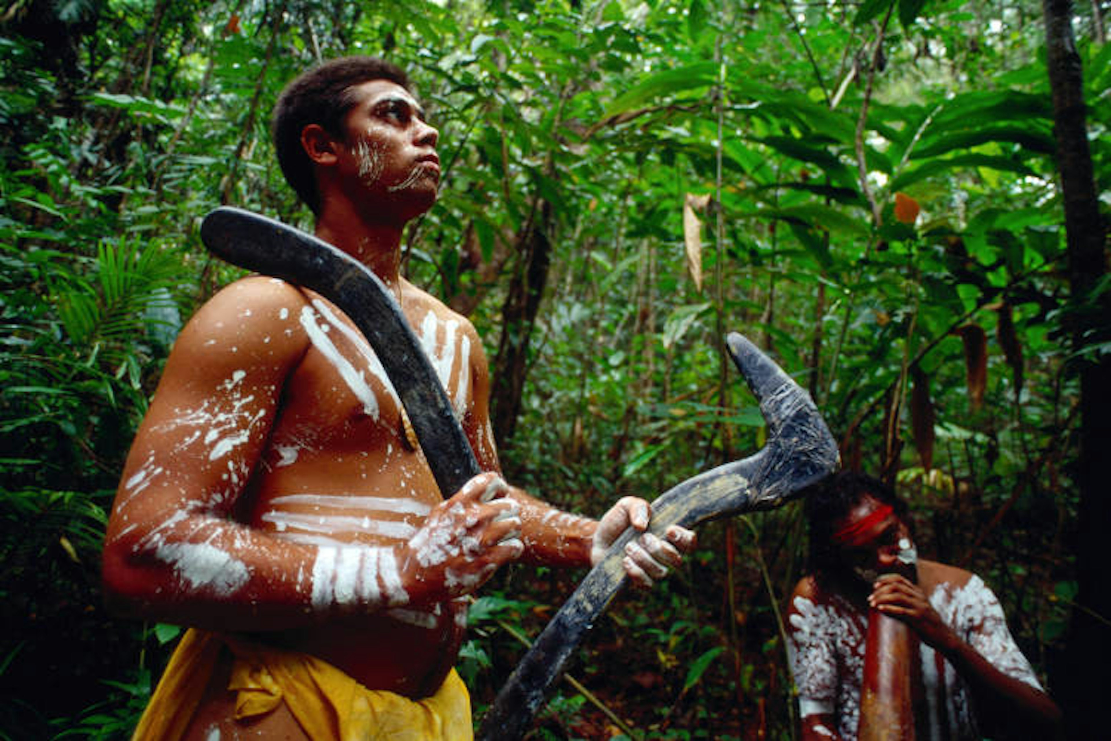 KuKu Yalanji dancers in Daintree National Park. Image by Michael Coyne / Lonely Planet Images / Getty Images