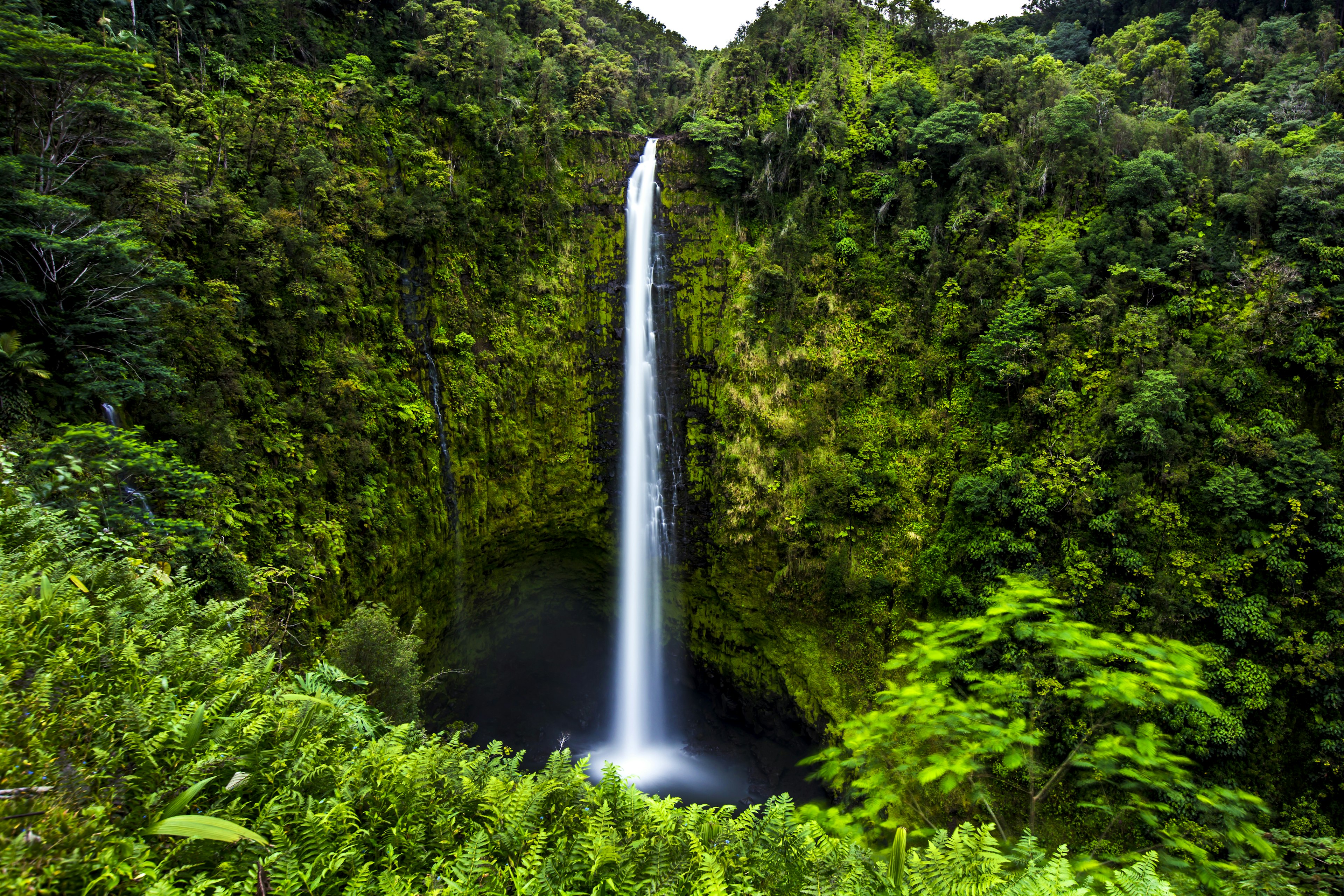 A tall and slender waterfall tumbles forever into a large sinkhole in the middle of a jungle