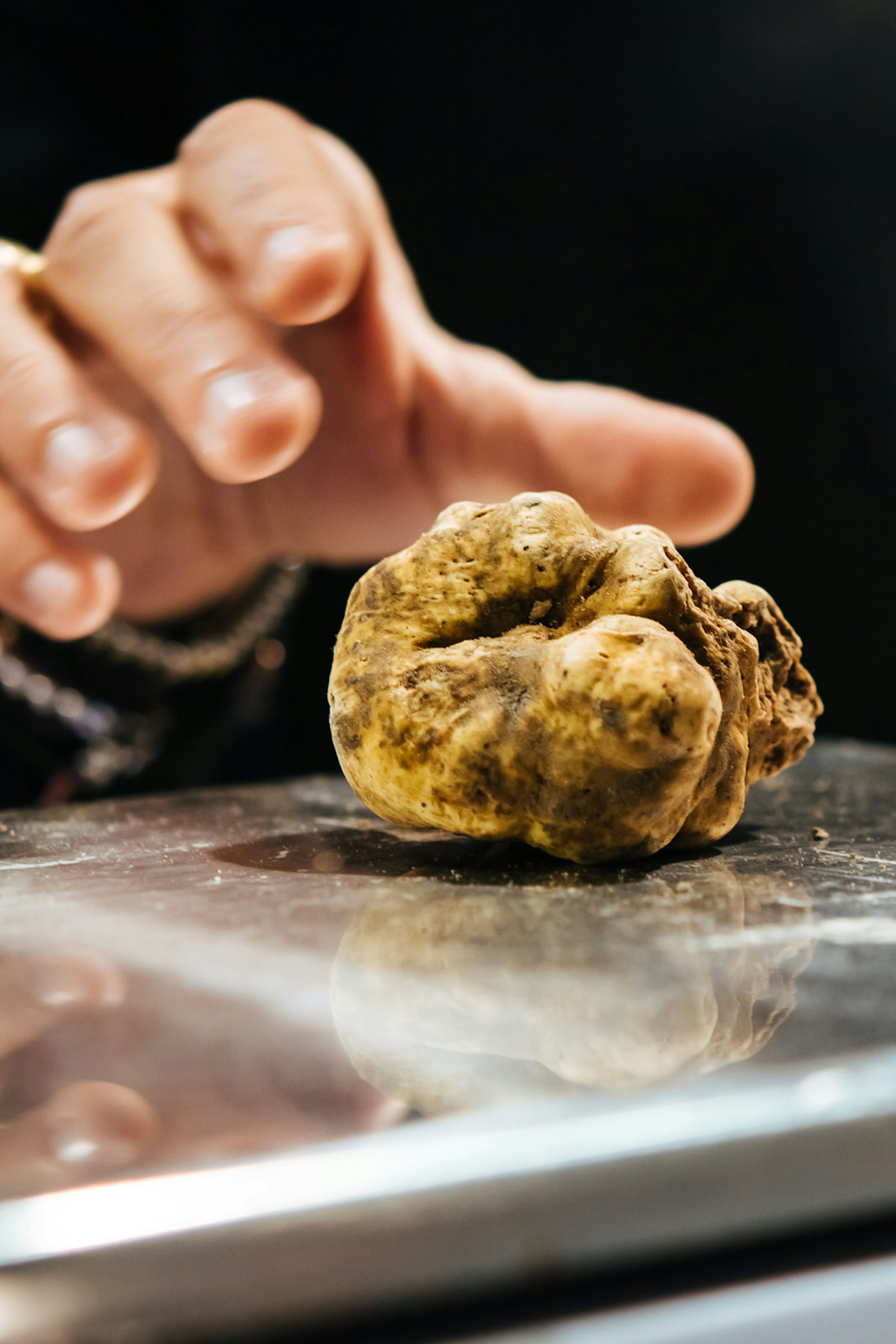 A hand places a white truffle on a scale at a truffle fair in Alba © Yulia Grigoryeva / Shutterstock