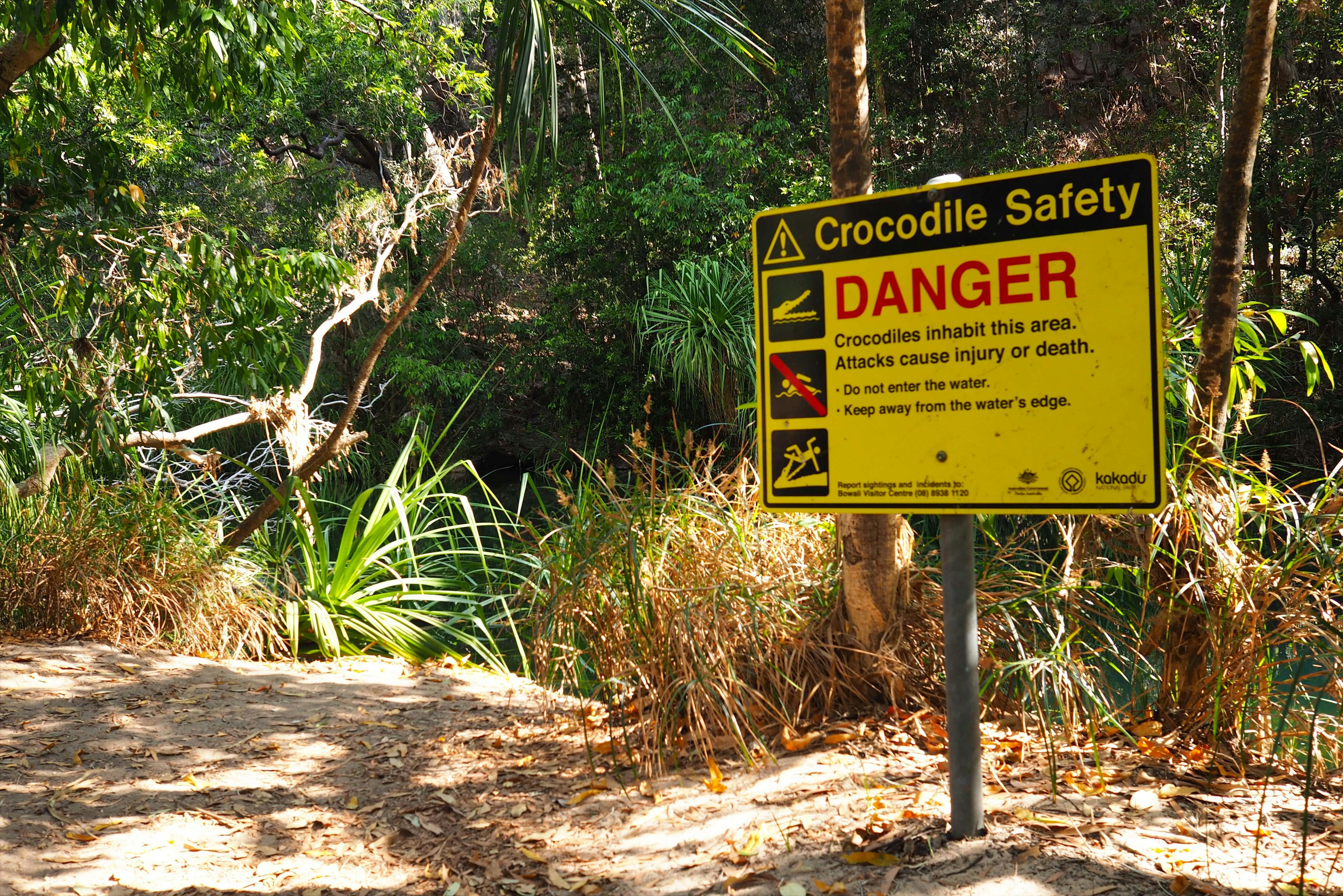 Signs warning of crocodile danger by Sarah Reid / Lonely Planet