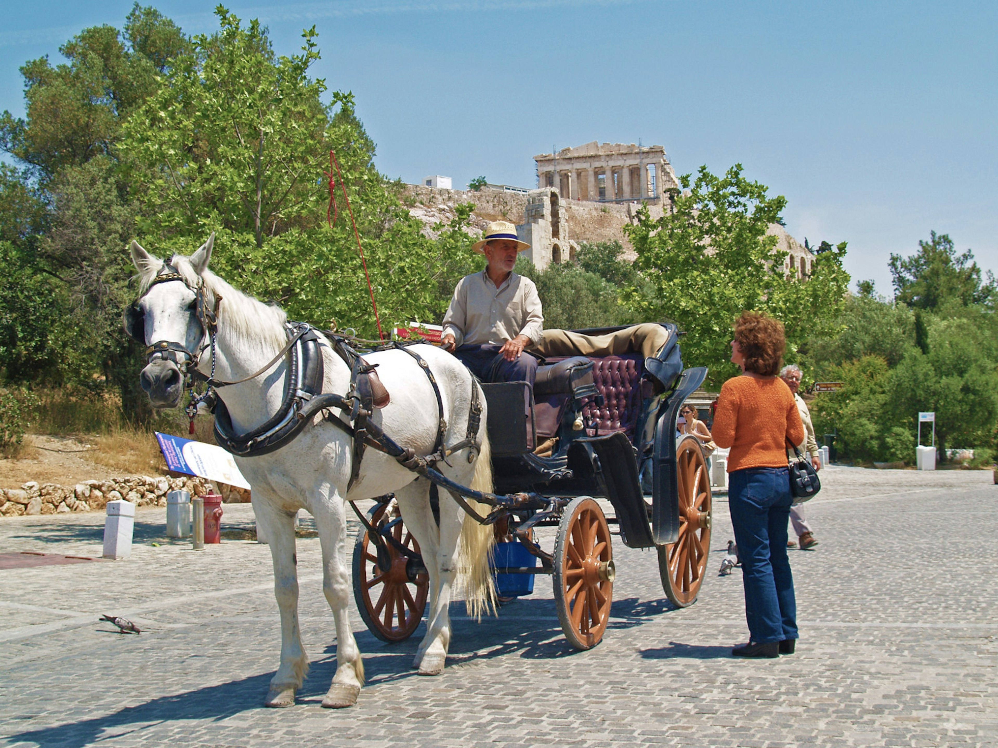 A horse-drawn carriage on Athens' ancient promenade