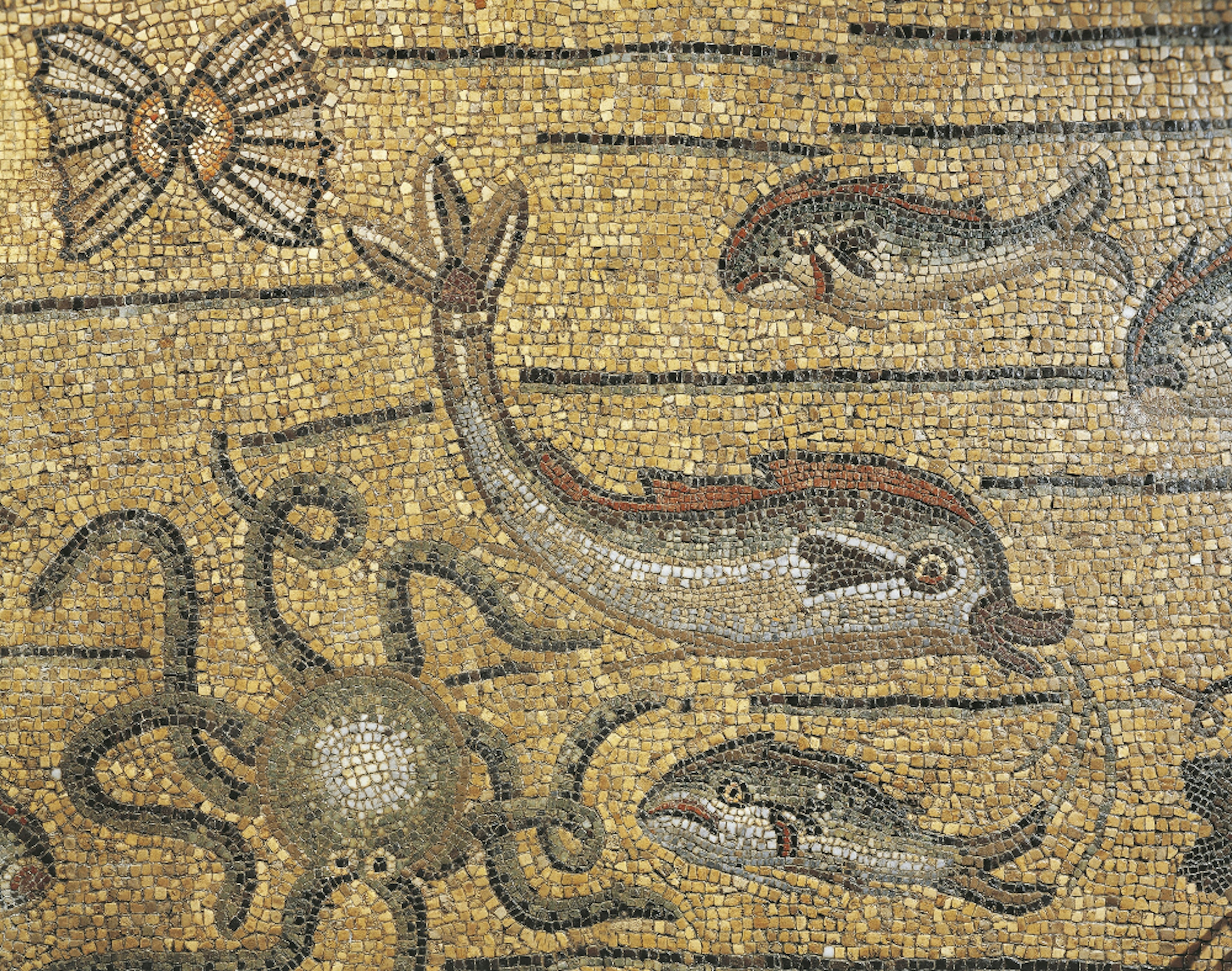 Roman mosaic showing lagoon sea creatures at Aquileia.