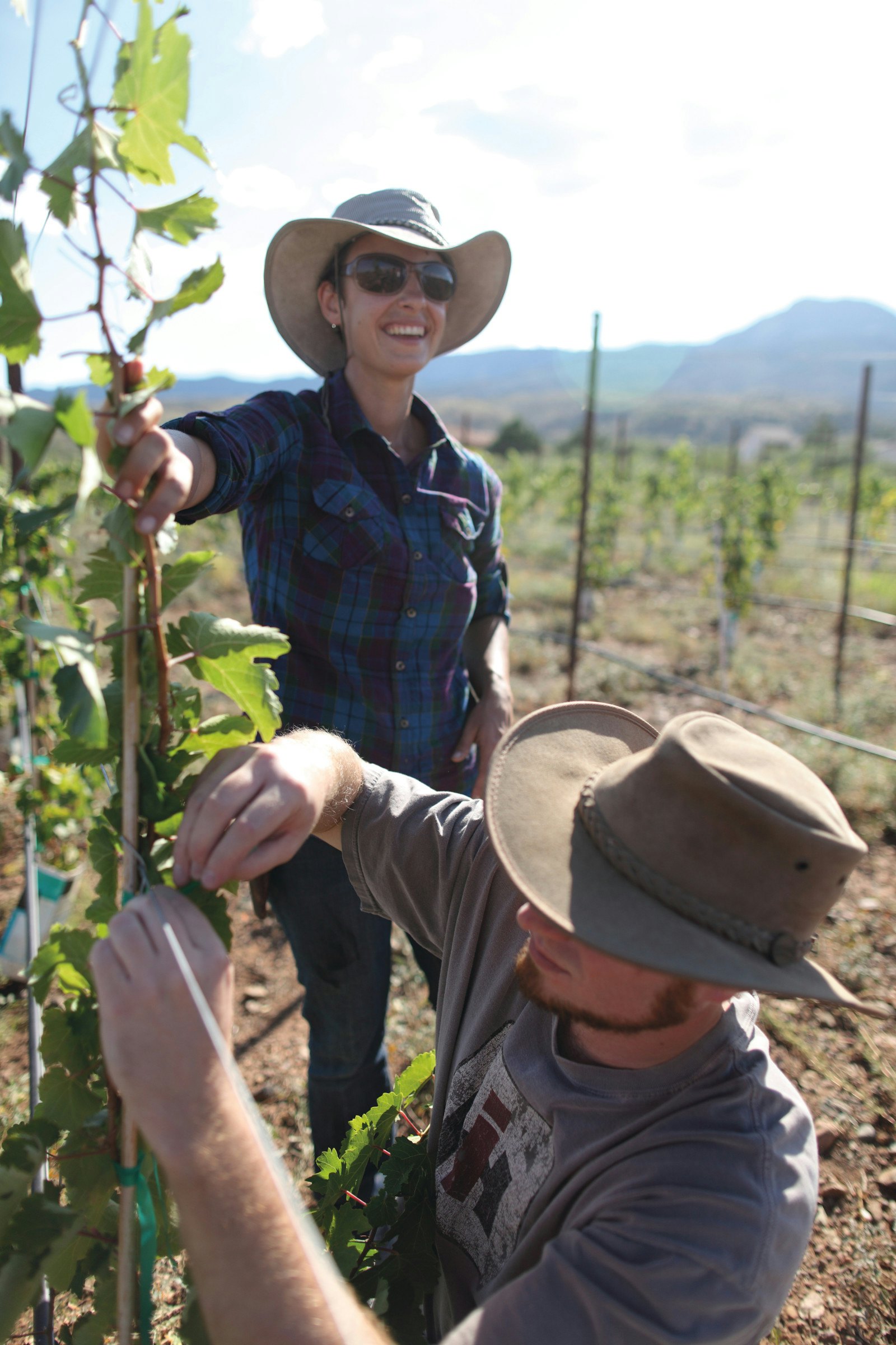 Nikki Bagley, Director of Viticulture, Southwest Wine Center, a dedicated winery and wine lab in Arizona