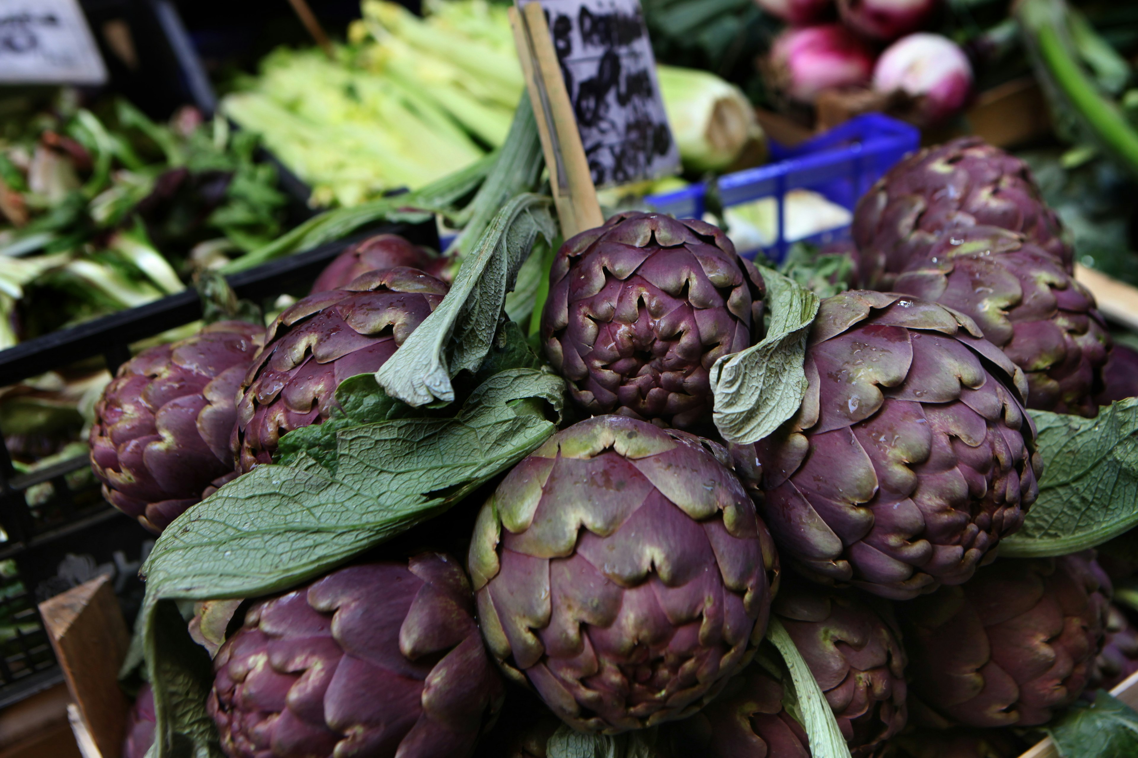 A close-up of artichokes, seasonal produce at a market in Bologna, Italy