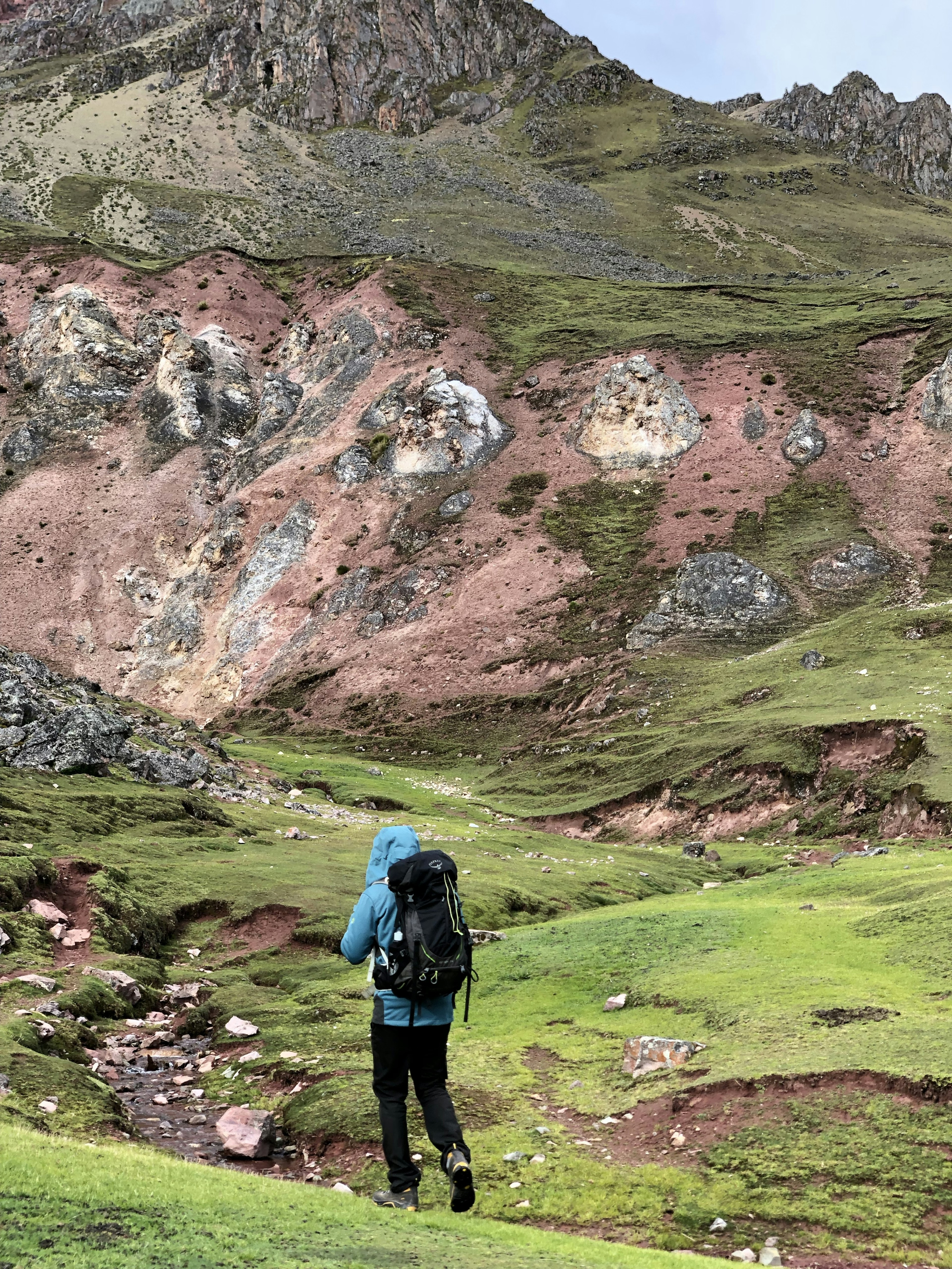 A person wearing a light blue jacket and a black backpack walks along a verdant trail. In the background is a large grass-covered mountain.