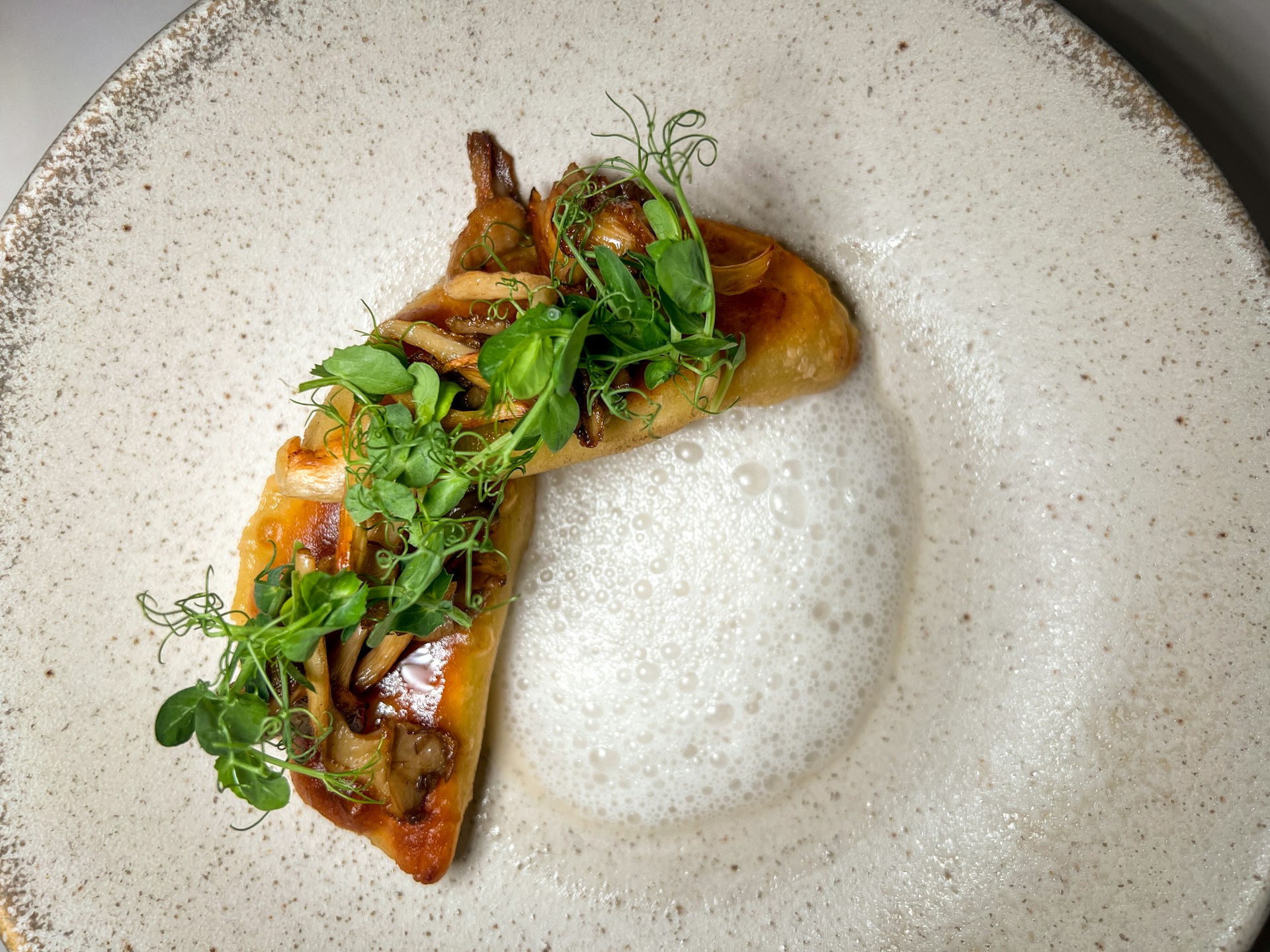 An overhead view of two pierogies sitting on a plate with edible foam, topped with microgreens. 