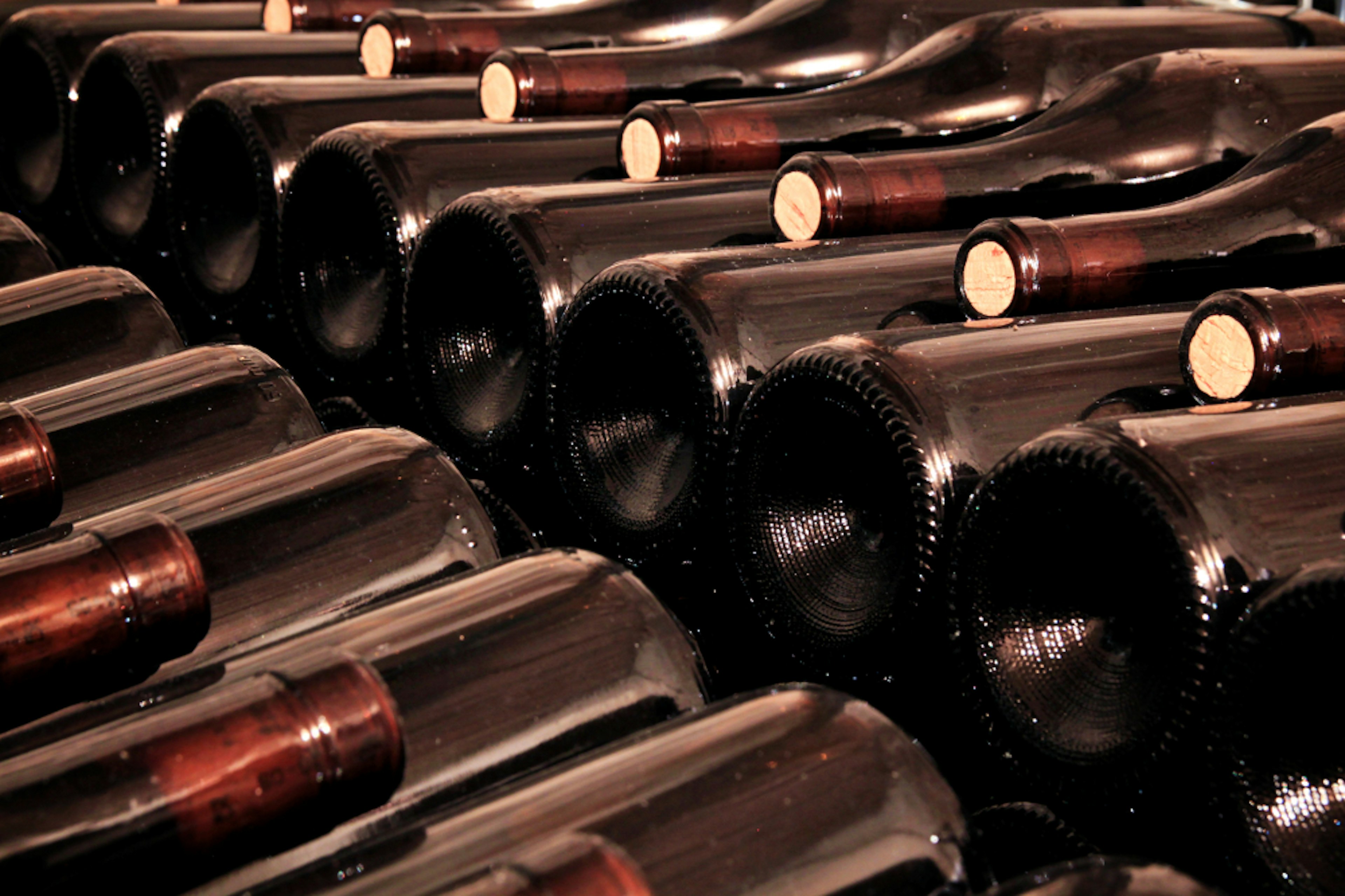 Bottles of Barolo ageing in the cellar before they earn their DOC certification.