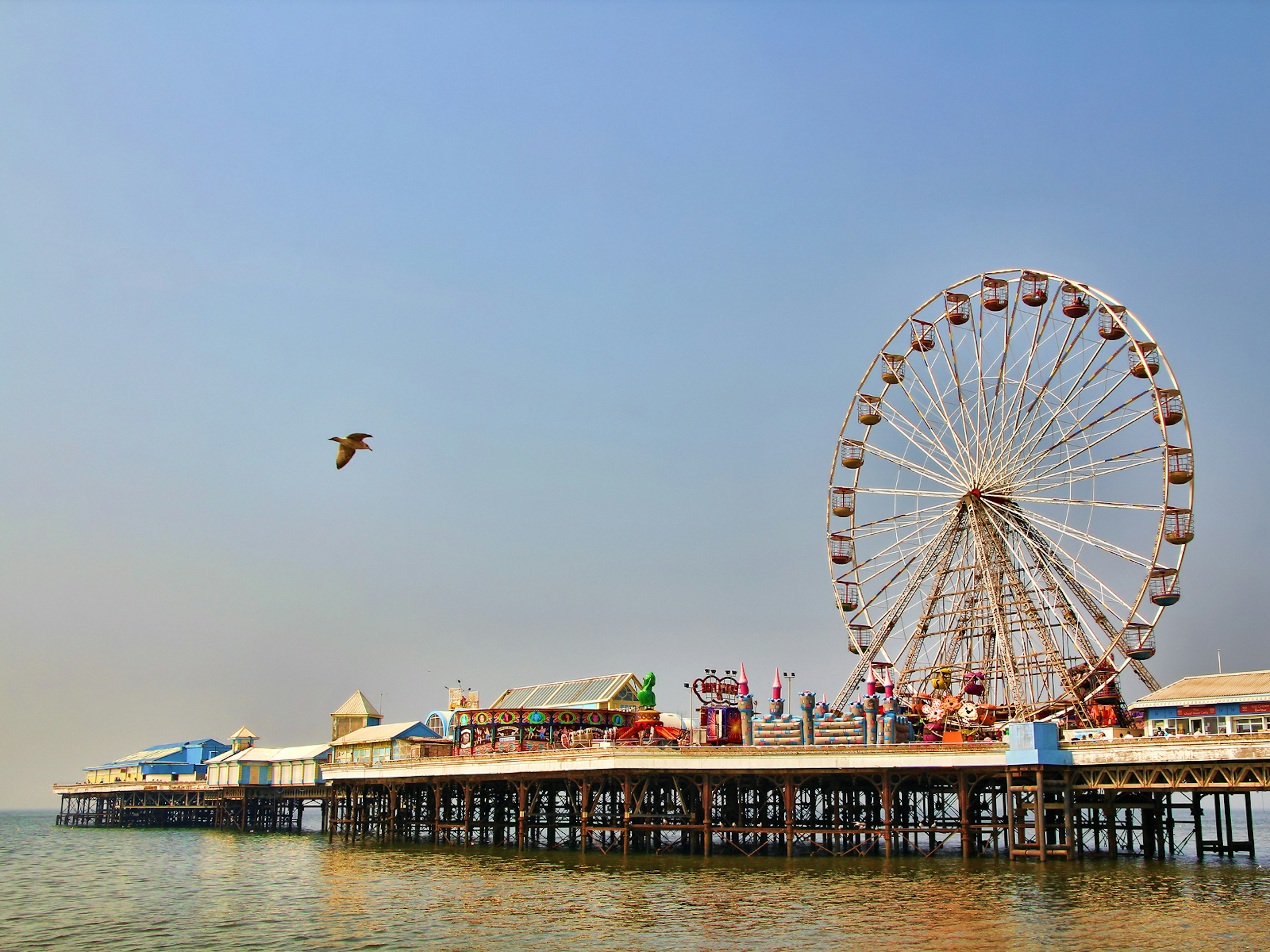 Disney alternatives - Blackpool Pleasure Beach pier. The huge ferris wheel sticks up into a clear blue sky as a seagull flies by.