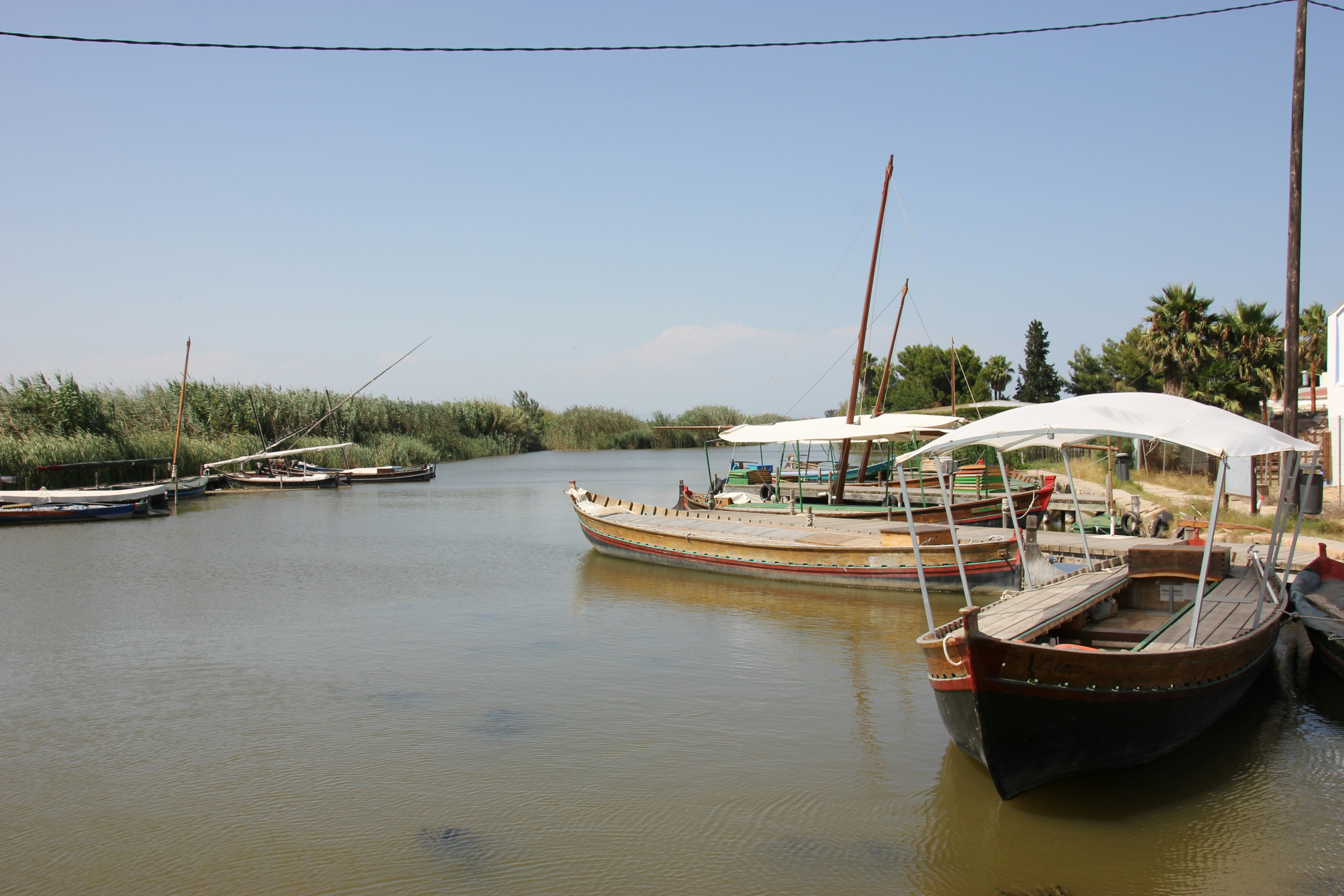 A handful of pleasure boats with white canopies are lined up on the banks of a lagoon. The shore has lush trees and tall grasses.