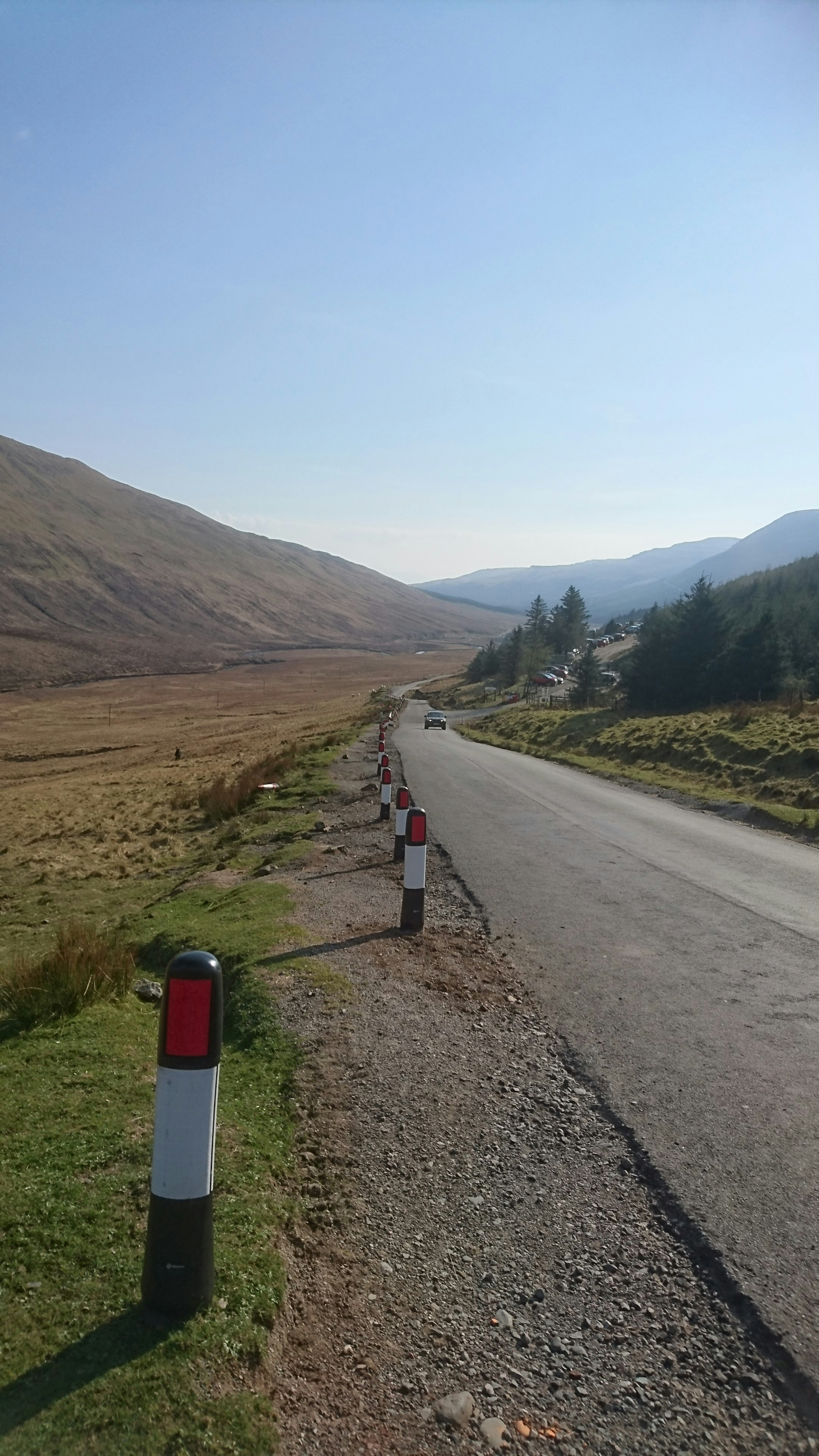 A narrow road in an open rural area is lined with bollards coloured black, red and white.