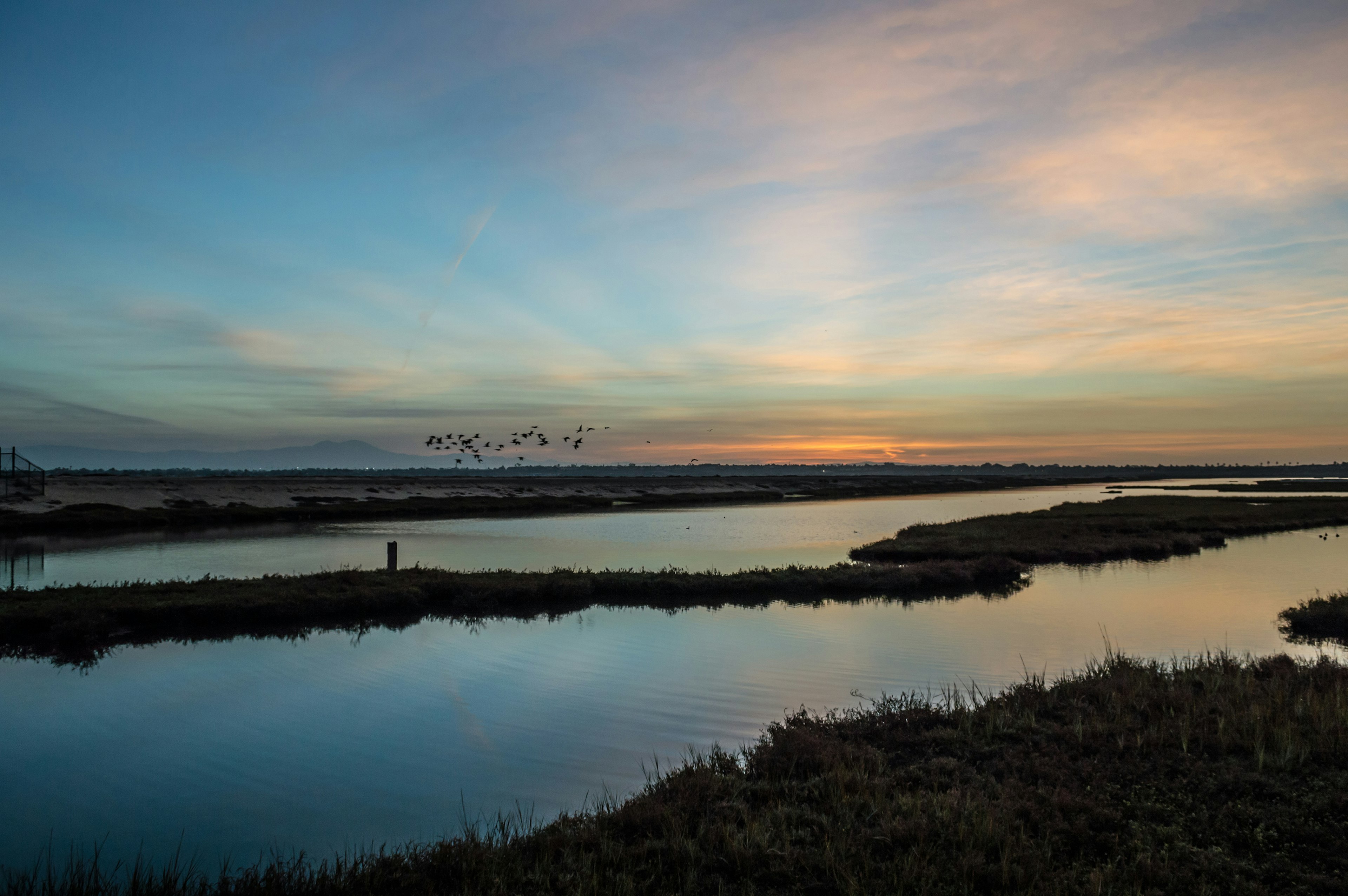 532238625
Flock Of Birds, Beauty In Nature, Pink Color, Blue, Nature, California, Plant, Bird, Sunrise - Dawn, Winter, Swamp, Landscape, Water, Bolsa Chica
A flock of birds fly by as sunrise comes to life over the wetlands.