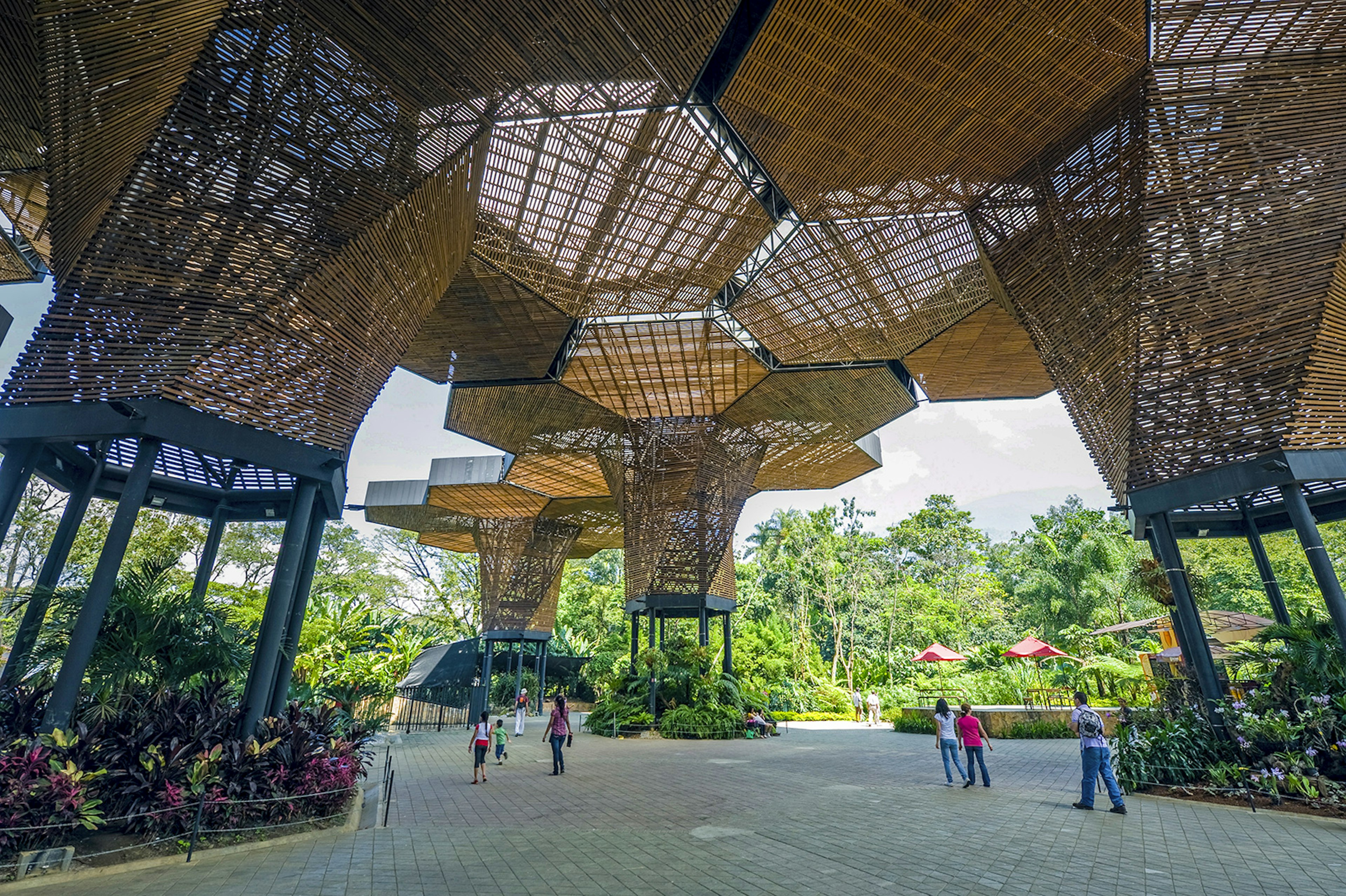 People wander under an intricate wood art installation with green trees in the background