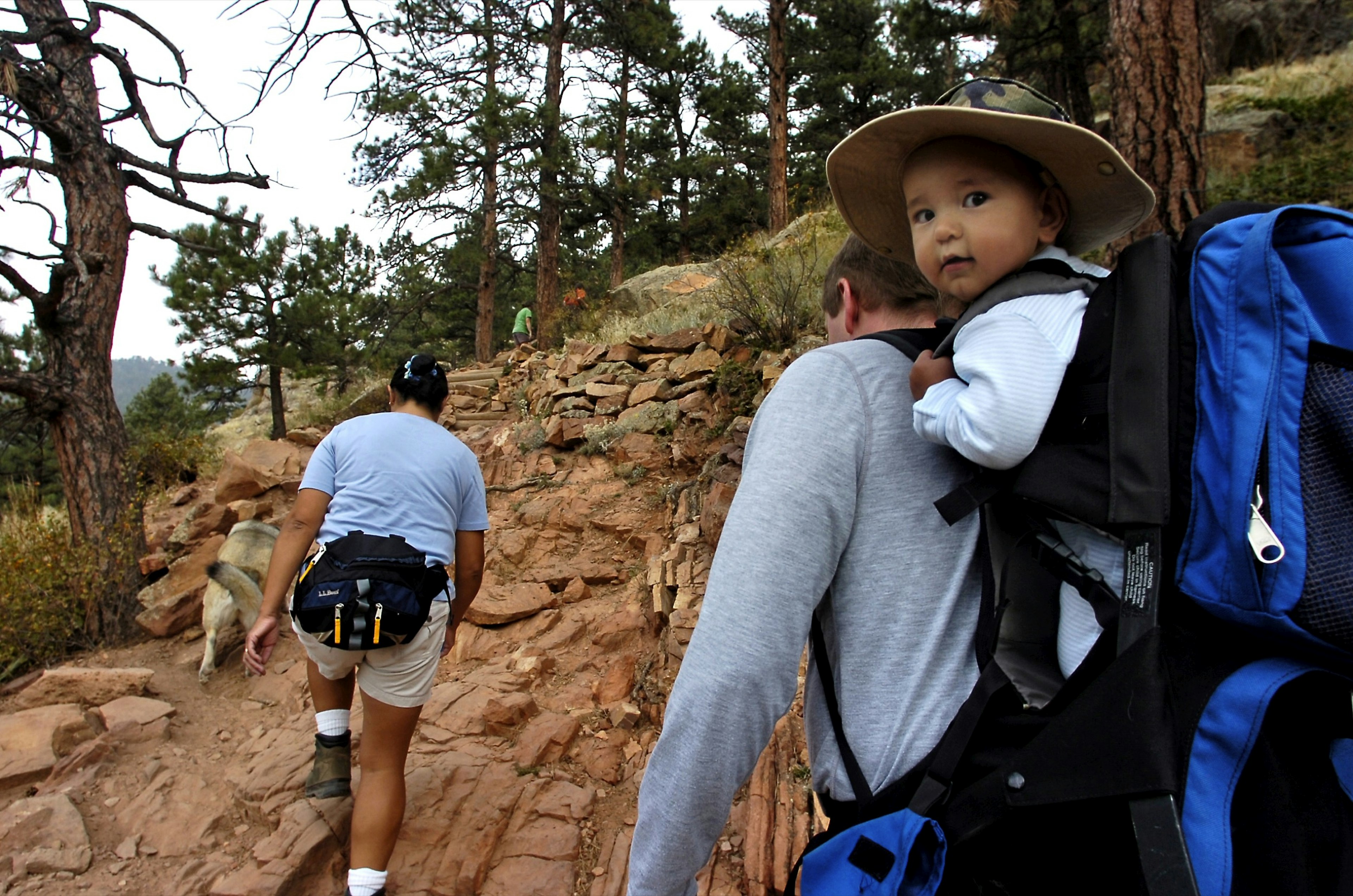 Two people and their dog have their backs to the camera as they walk up a red-colored sandstone trail surrounded by vegetation as their very small son looks back at the camera as he rides in backpack on his father's back; Hiking in Boulder, Colorado