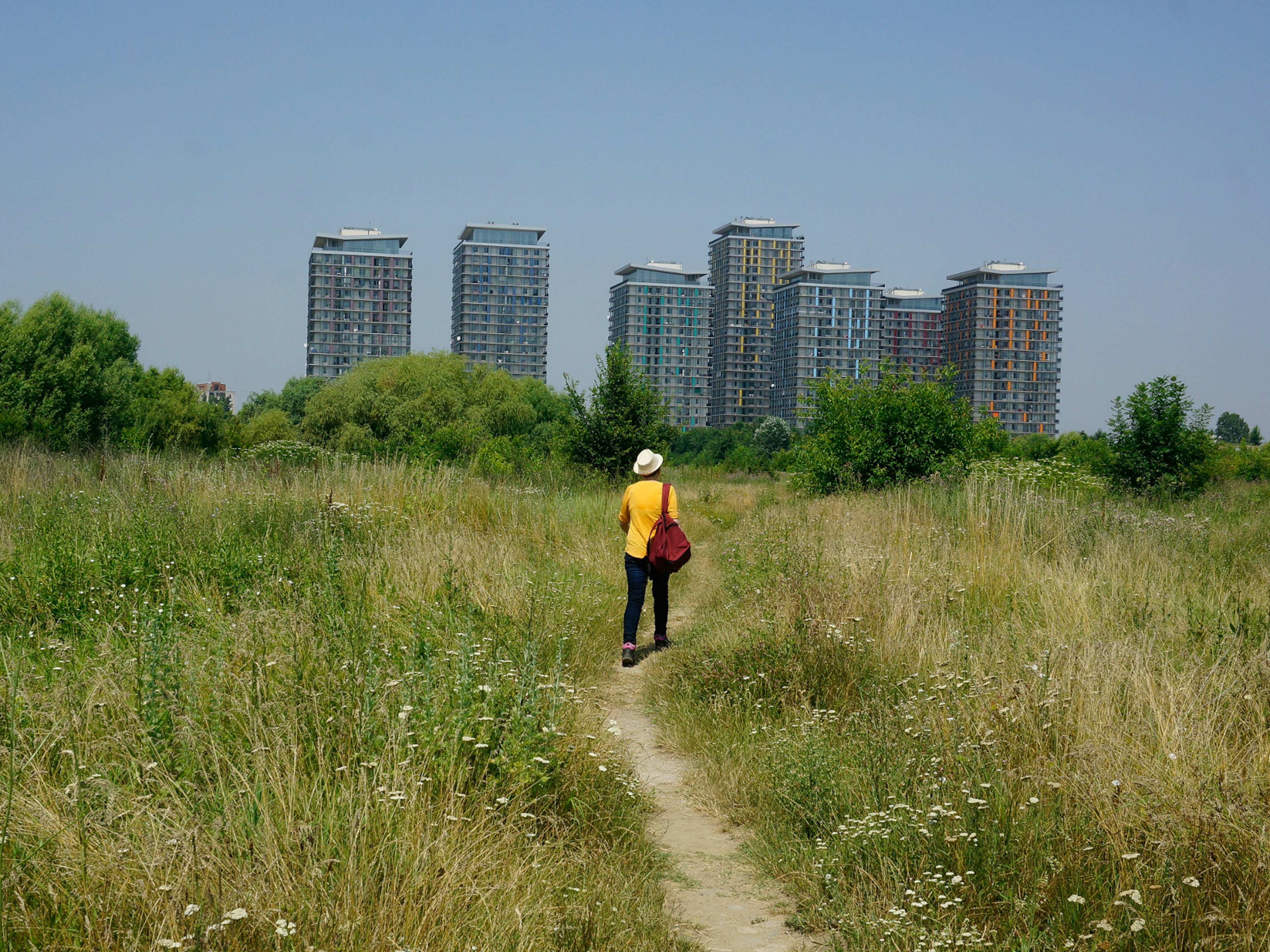 Văcărești Natural Park, a protected nature reserve rich in flora and fauna in the heart of Bucharest © Monica Suma / Lonely Planet