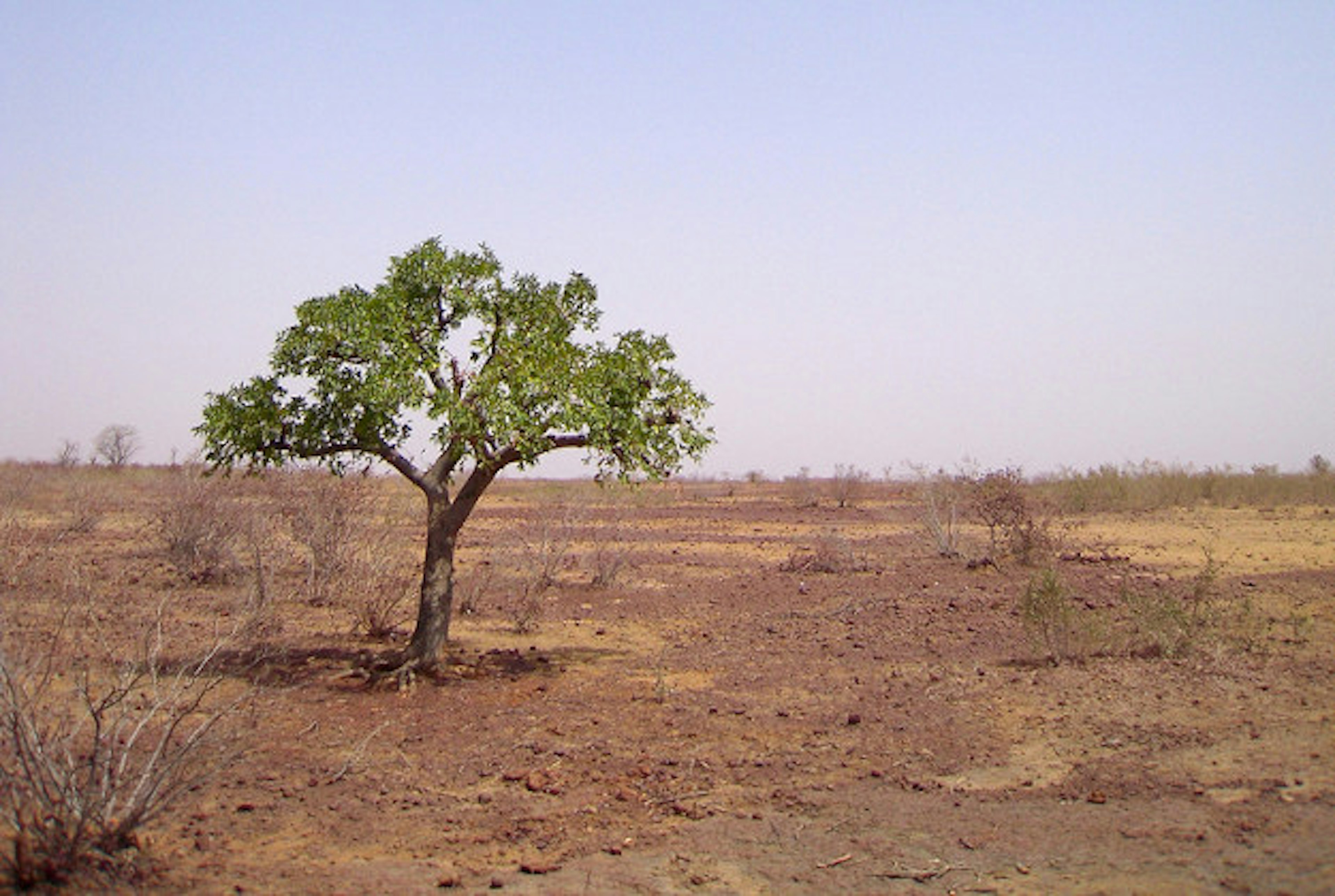 No man's land between Burkina Faso and Mali.