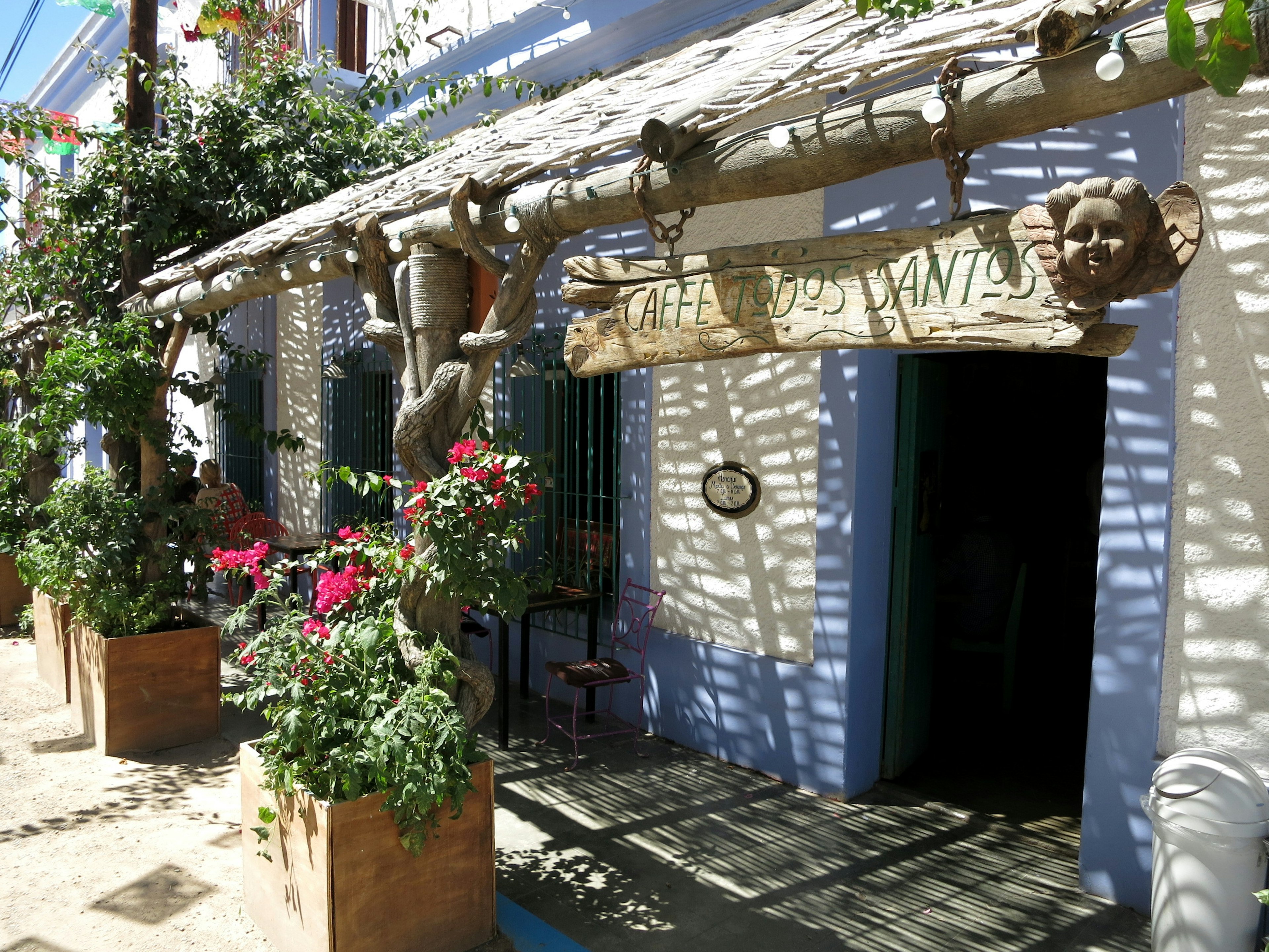 Pretty Todos Santos is close enough to Cabo for a day trip but miles away in terms of atmosphere. Image by Clifton Wilkinson / Lonely Planet