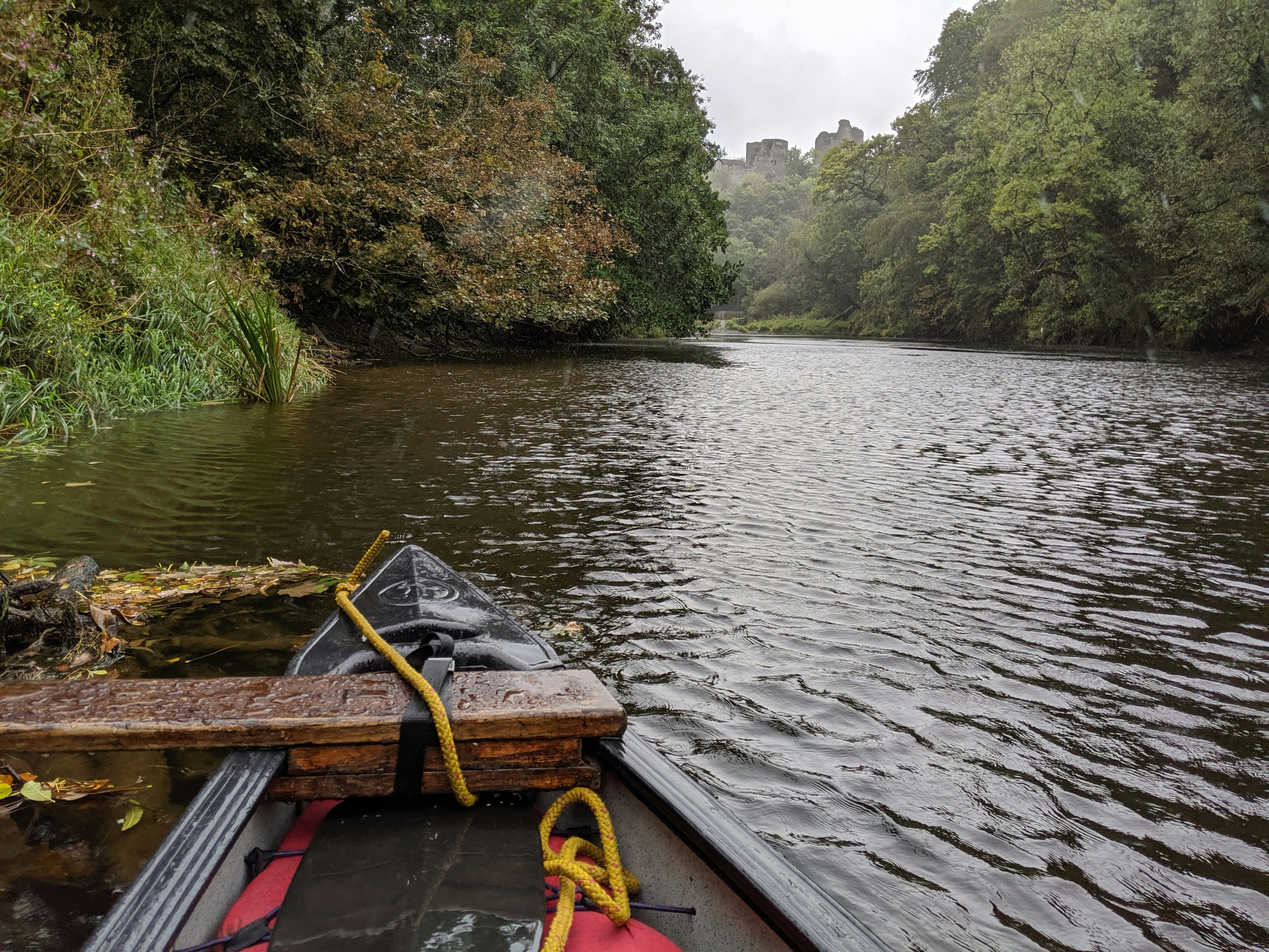 A canoe floating on a river with large trees lining the banks on both sides.