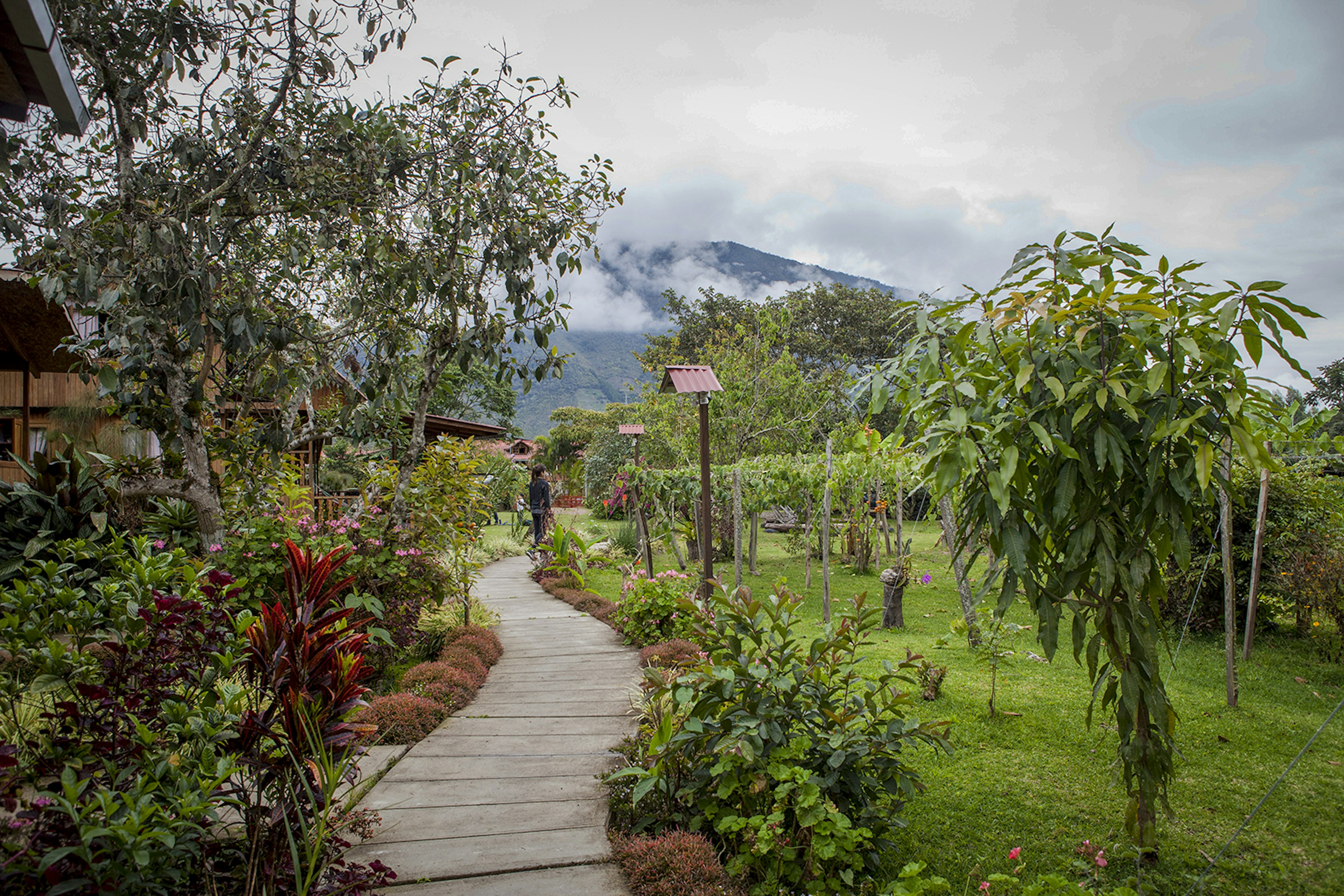 A path winds past well-tended landscaping, a birdhouse, and the main hotel building © Erick Andía / ϰϲʿ¼