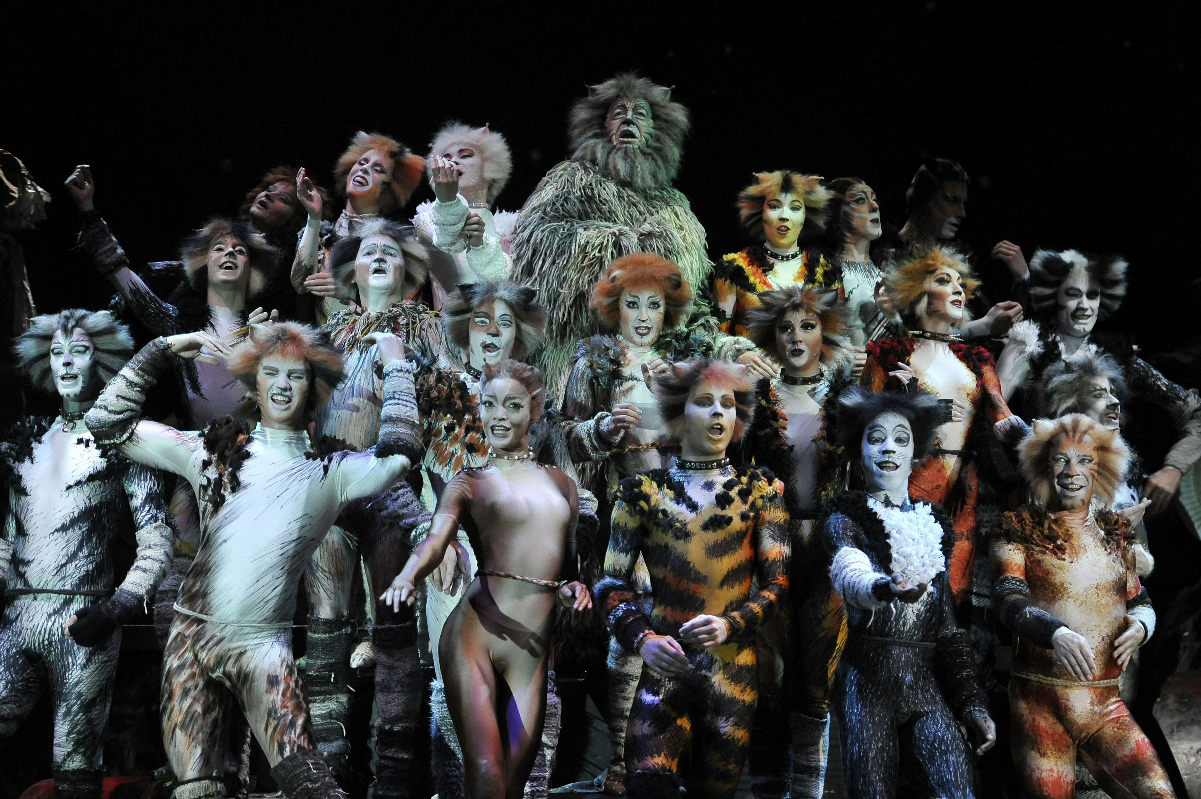 Cats the musical