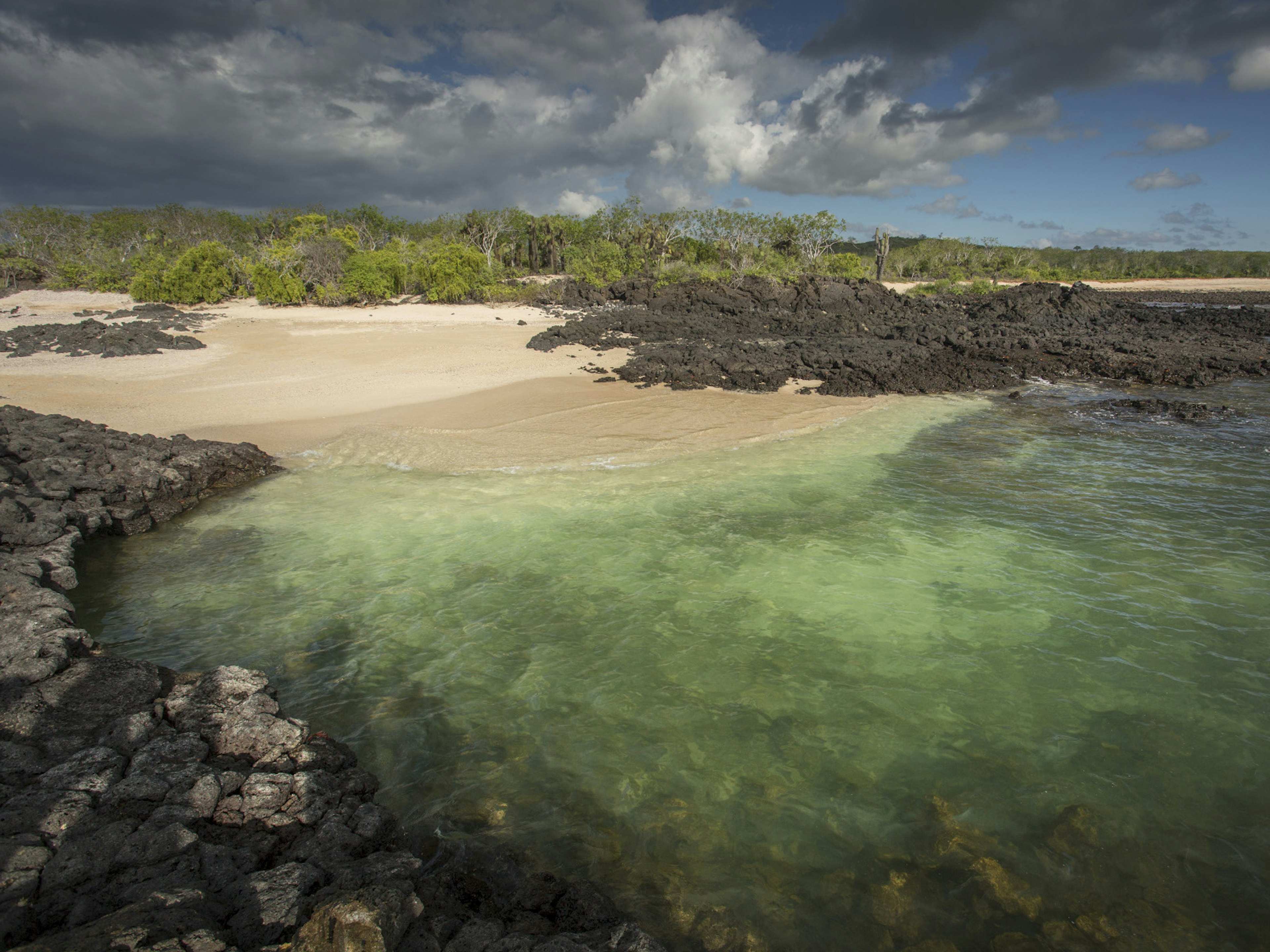 Remnants of lava flows spill into the Pacific near Cerro Dragon