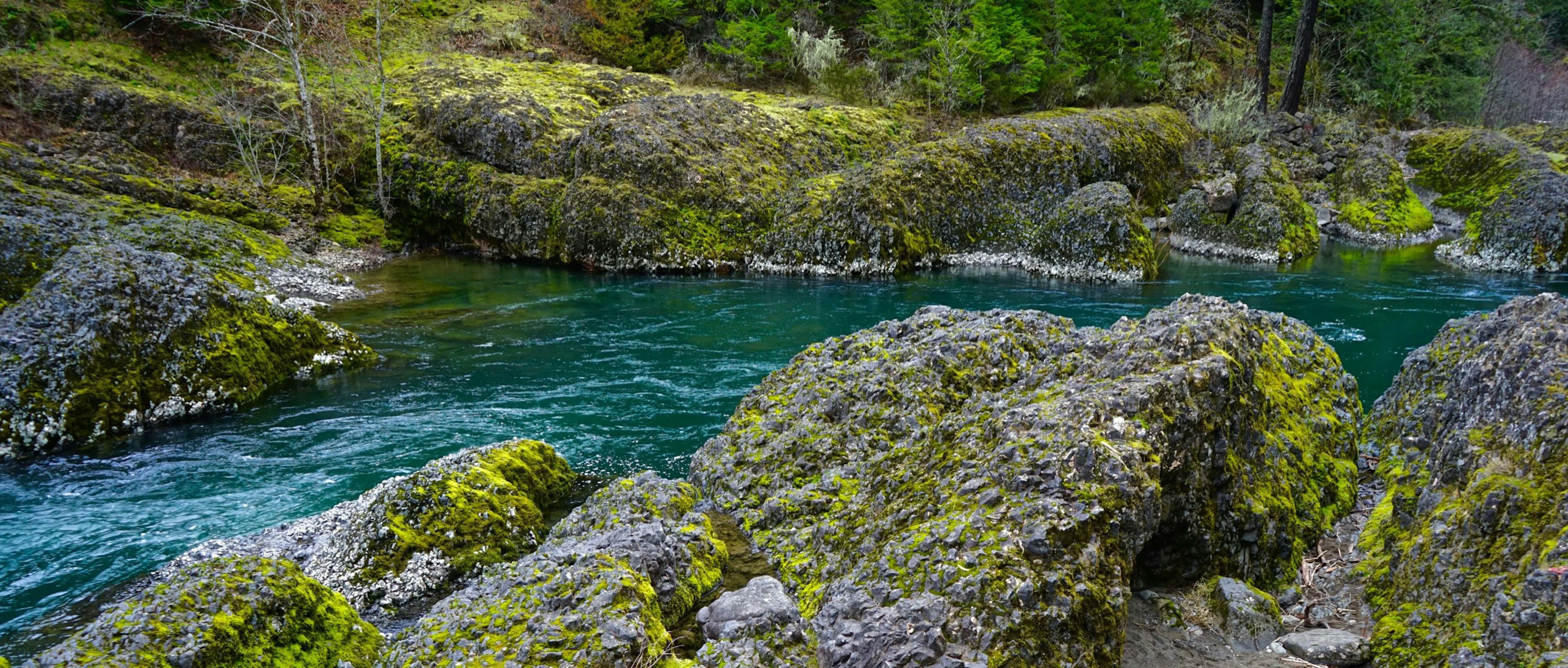 Moss-covered rocks sit in a blue-green river with lush wilderness around it