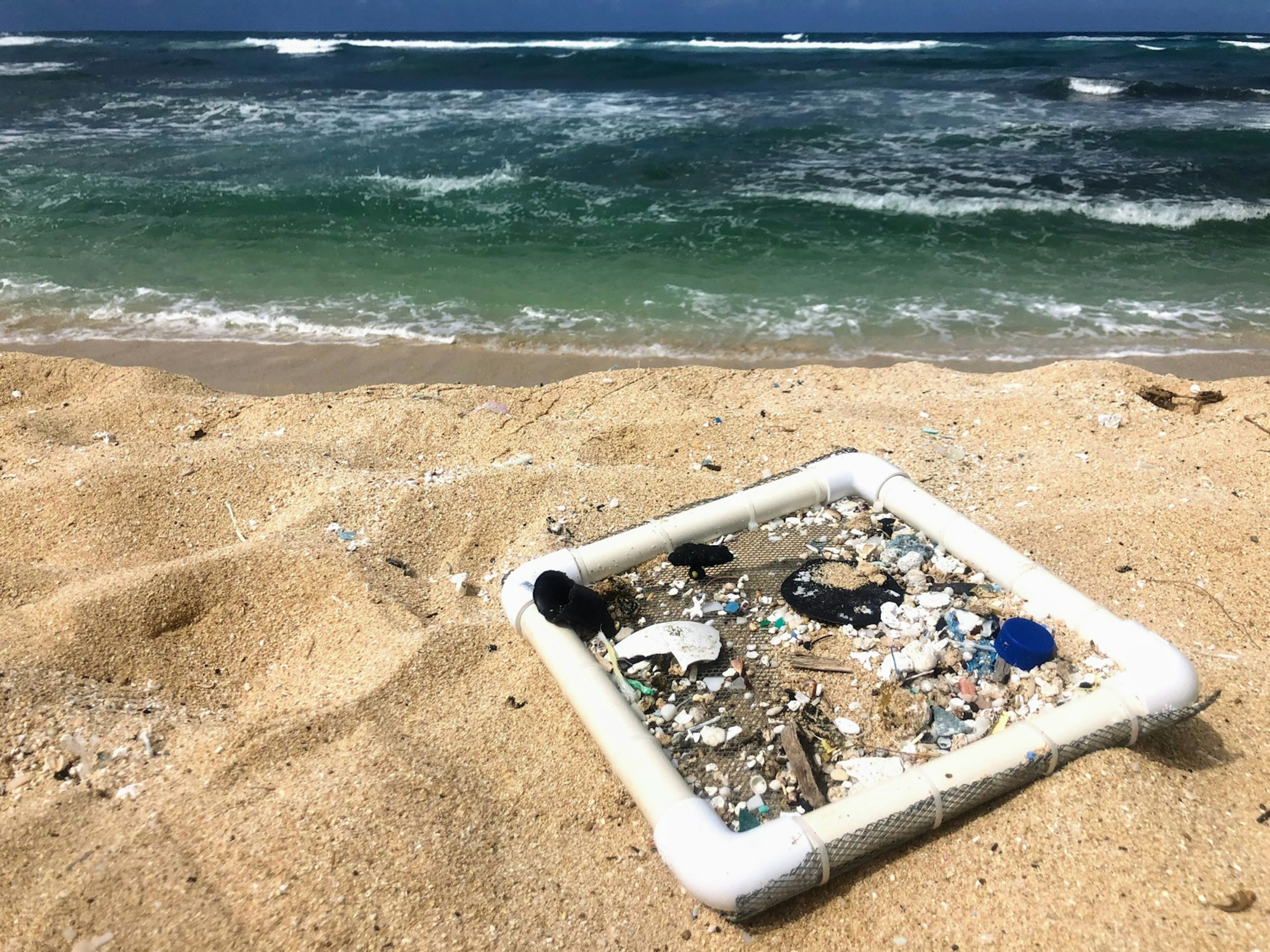 A square sifter sits on the sand by the ocean with lots of small pieces of plastic stuck in its net; Sustainable Hawaii