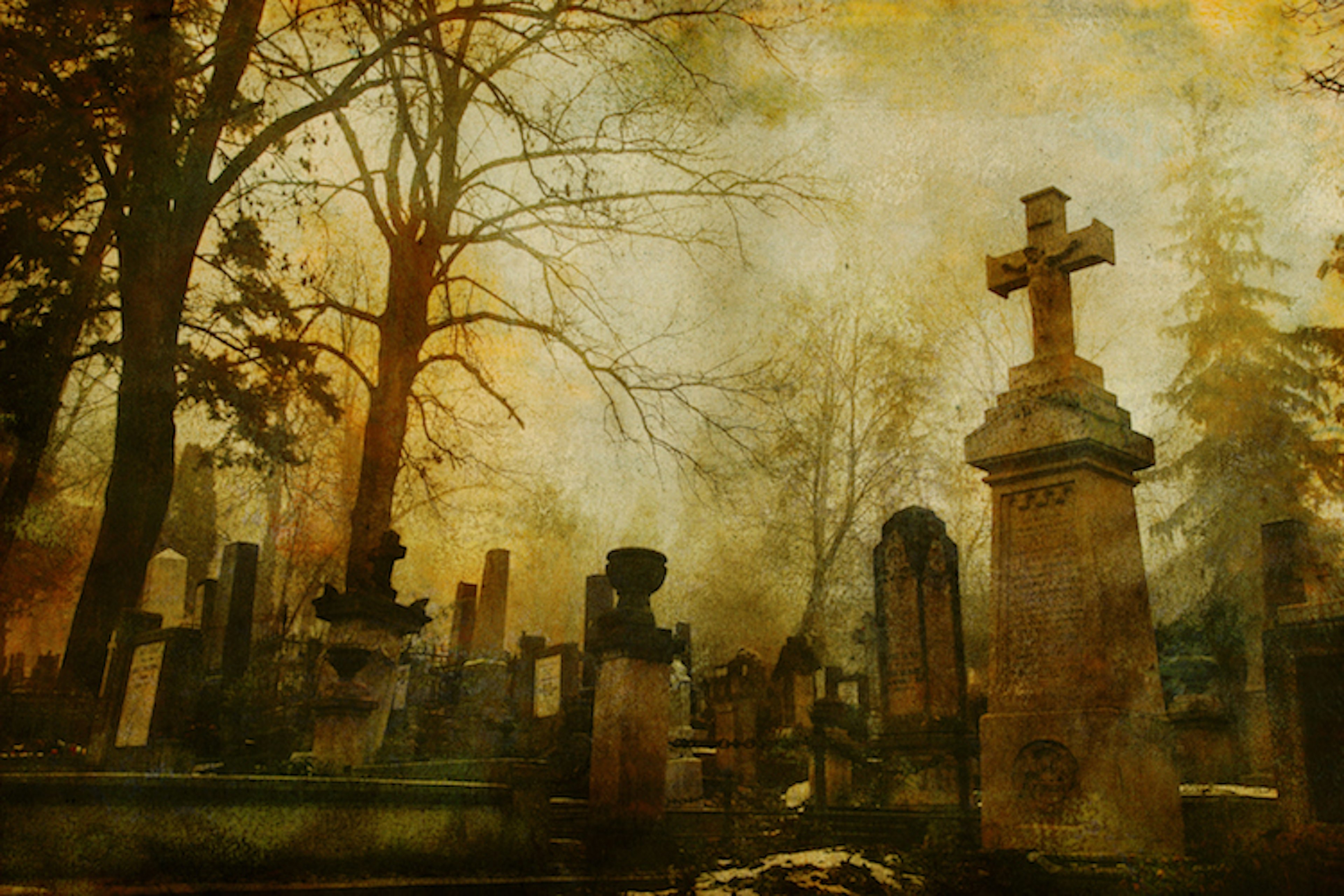 A sepia-toned photo of old cemetery grave stones and bare tree branches; haunted places world