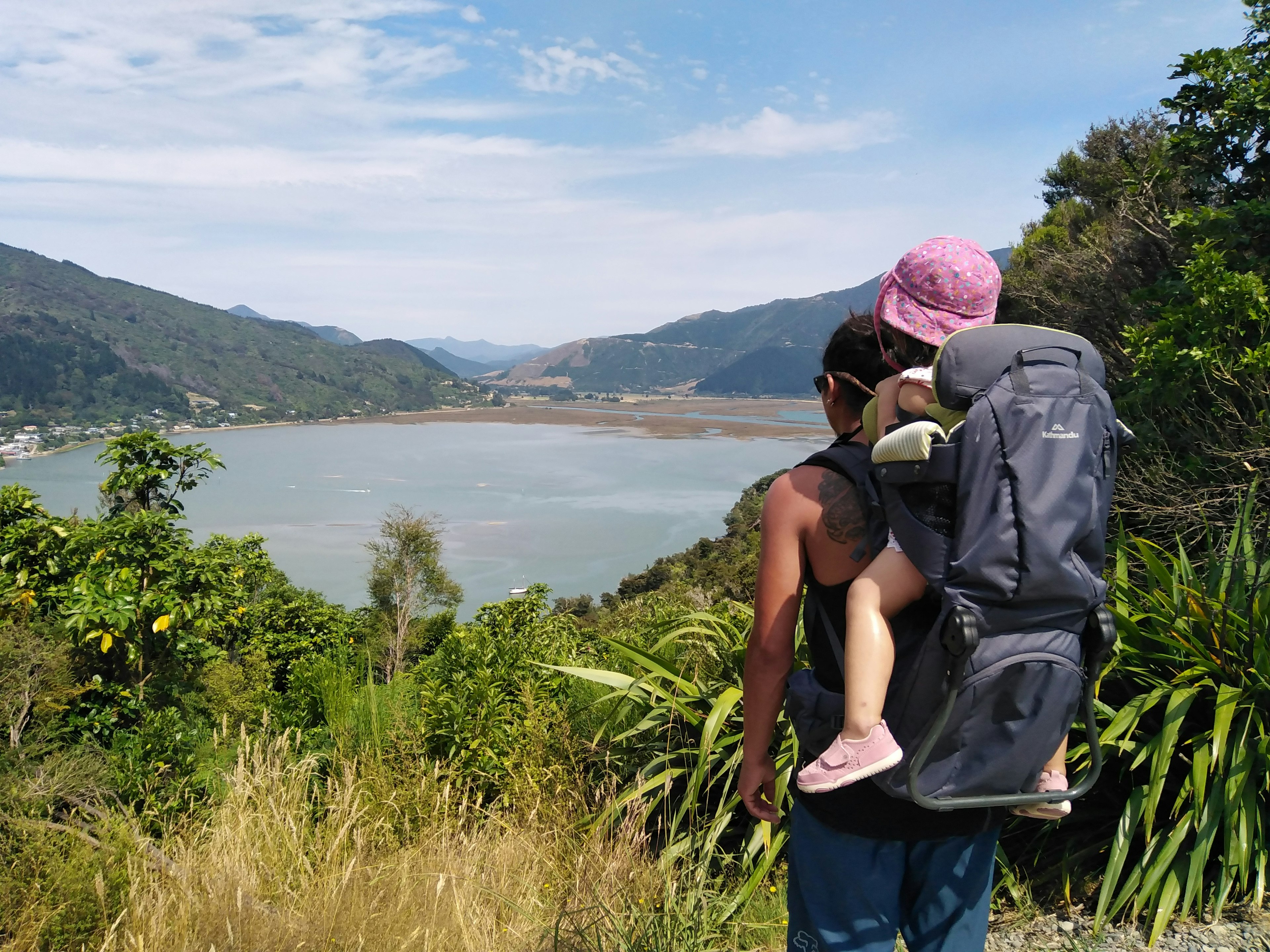 A man with a child holstered on his back looks on a lake over some shrubbery