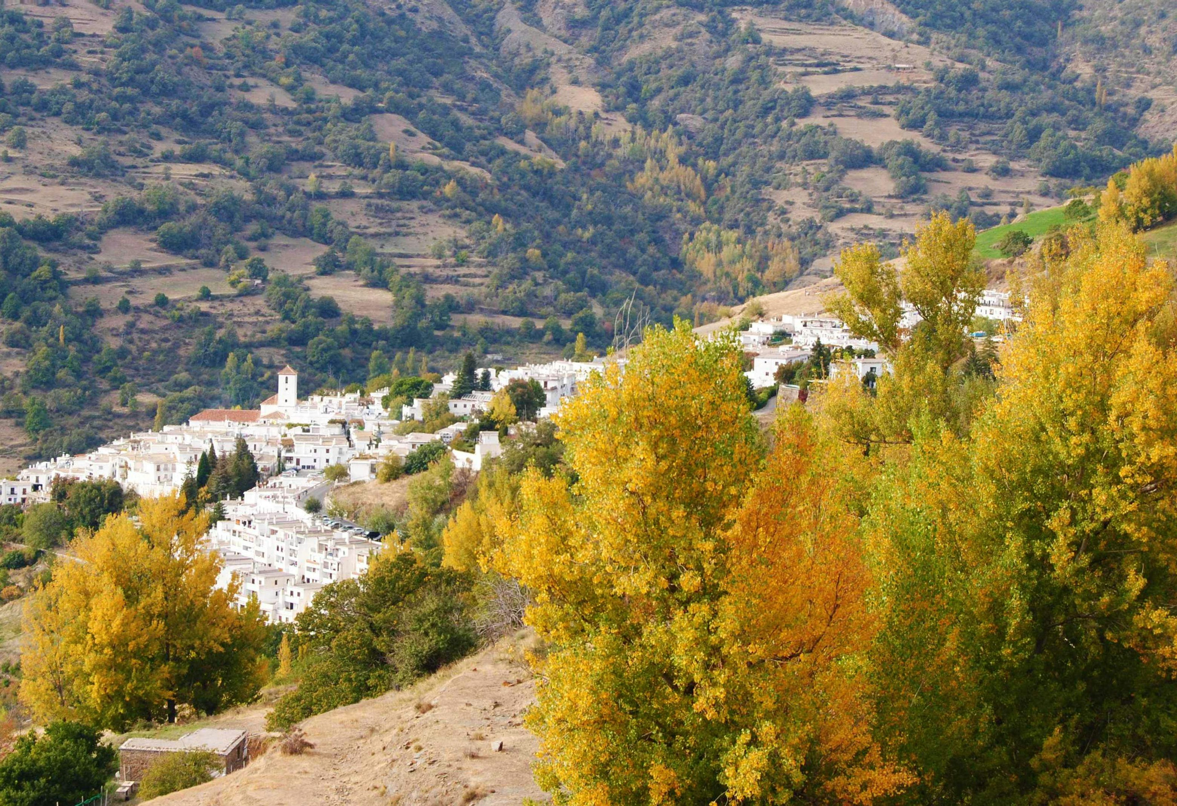 Capileira village in autumn, Las Alpujarras region, Parque Natural Sierra Nevada