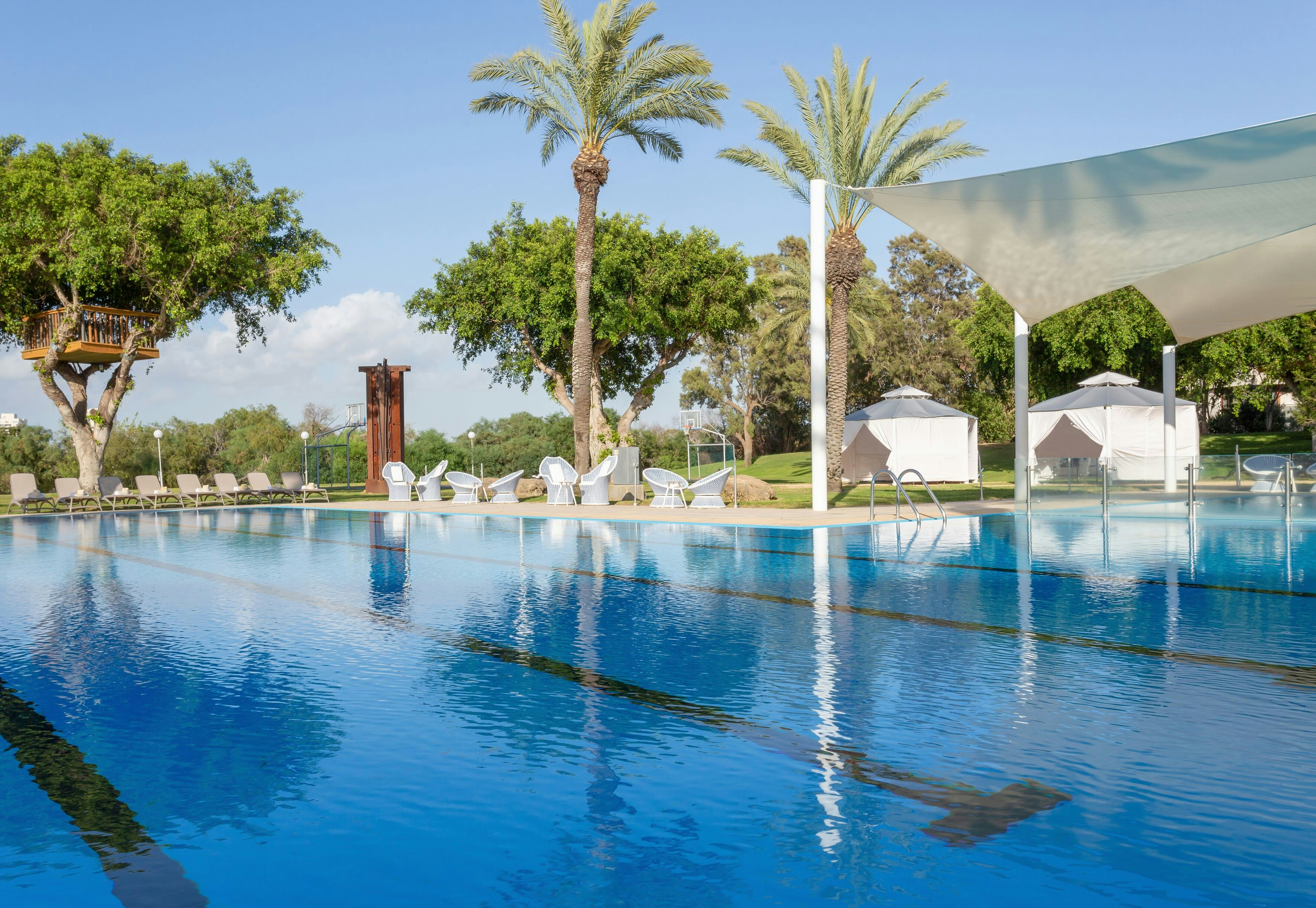 A swimming pool at the Dan Caesarea, Israel. A large tree with a treehouse built atop is visible, along with deckchairs.