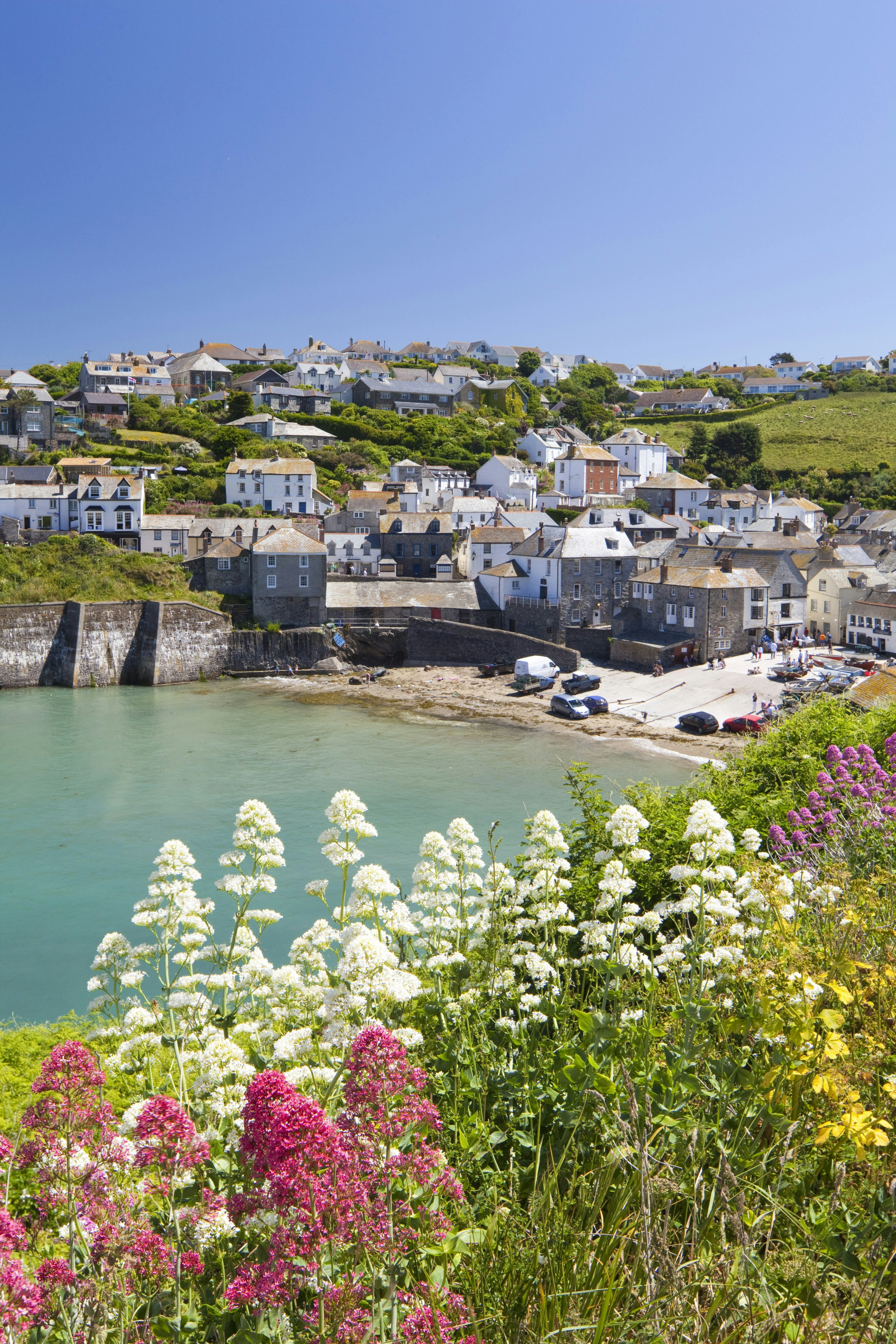 Valerium on the cliffs at Port Isaac in Cornwall