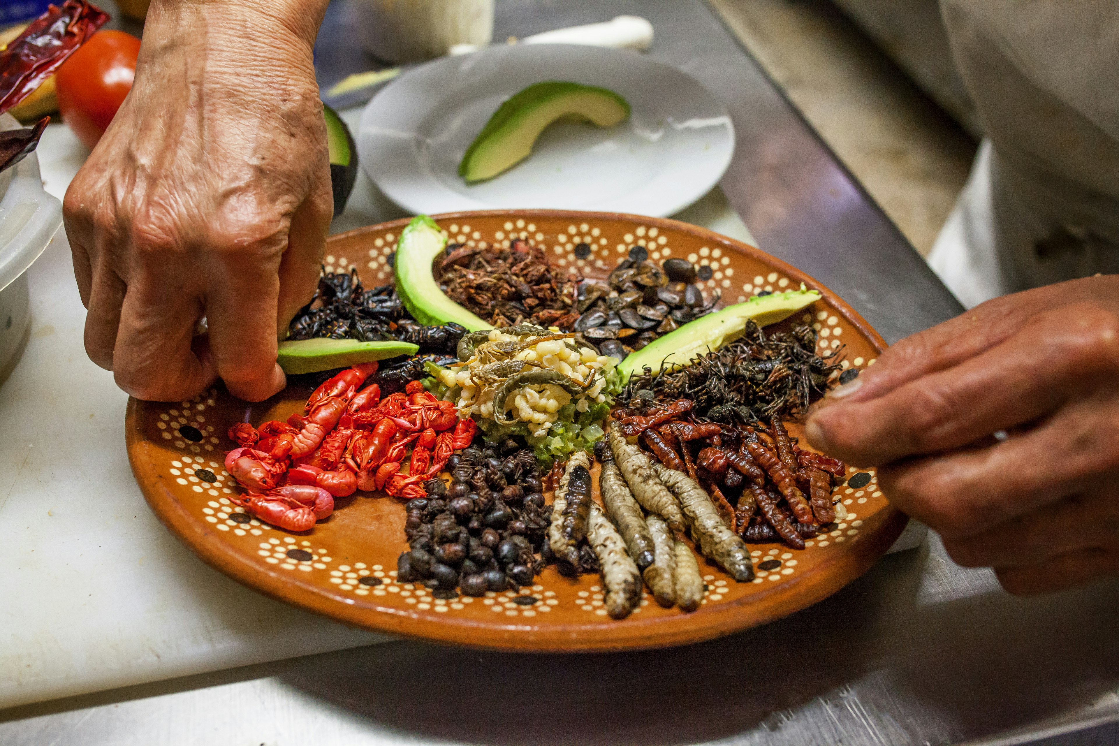 In a Mexican clay plate, a chef is preparing with many different insect dishes from Mexico.