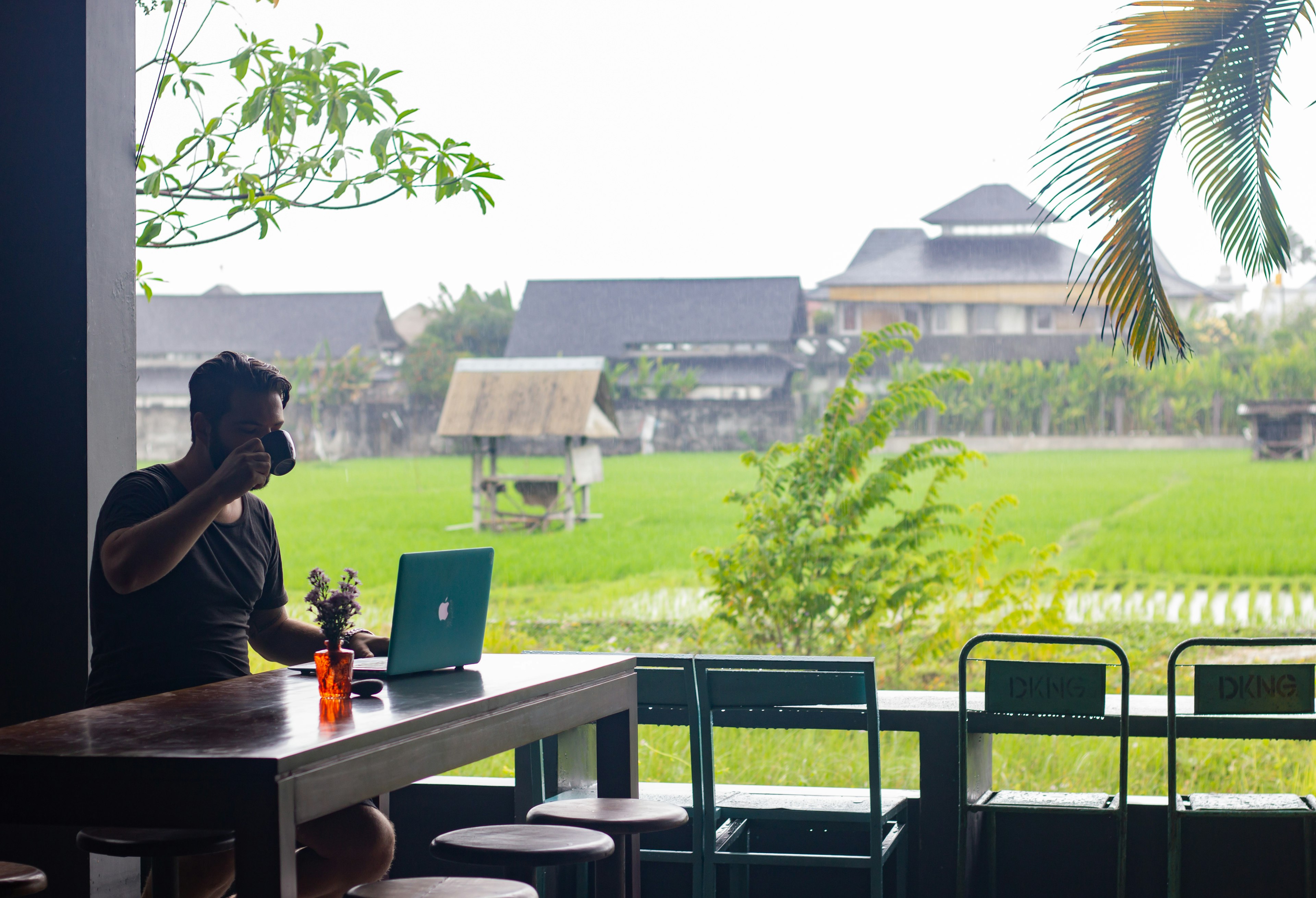 Views of green rice fields from the co-working space at District