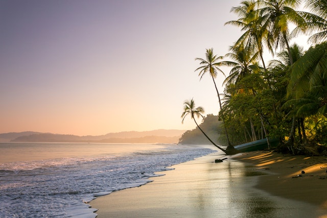 Sunset on a palm-fringed beach