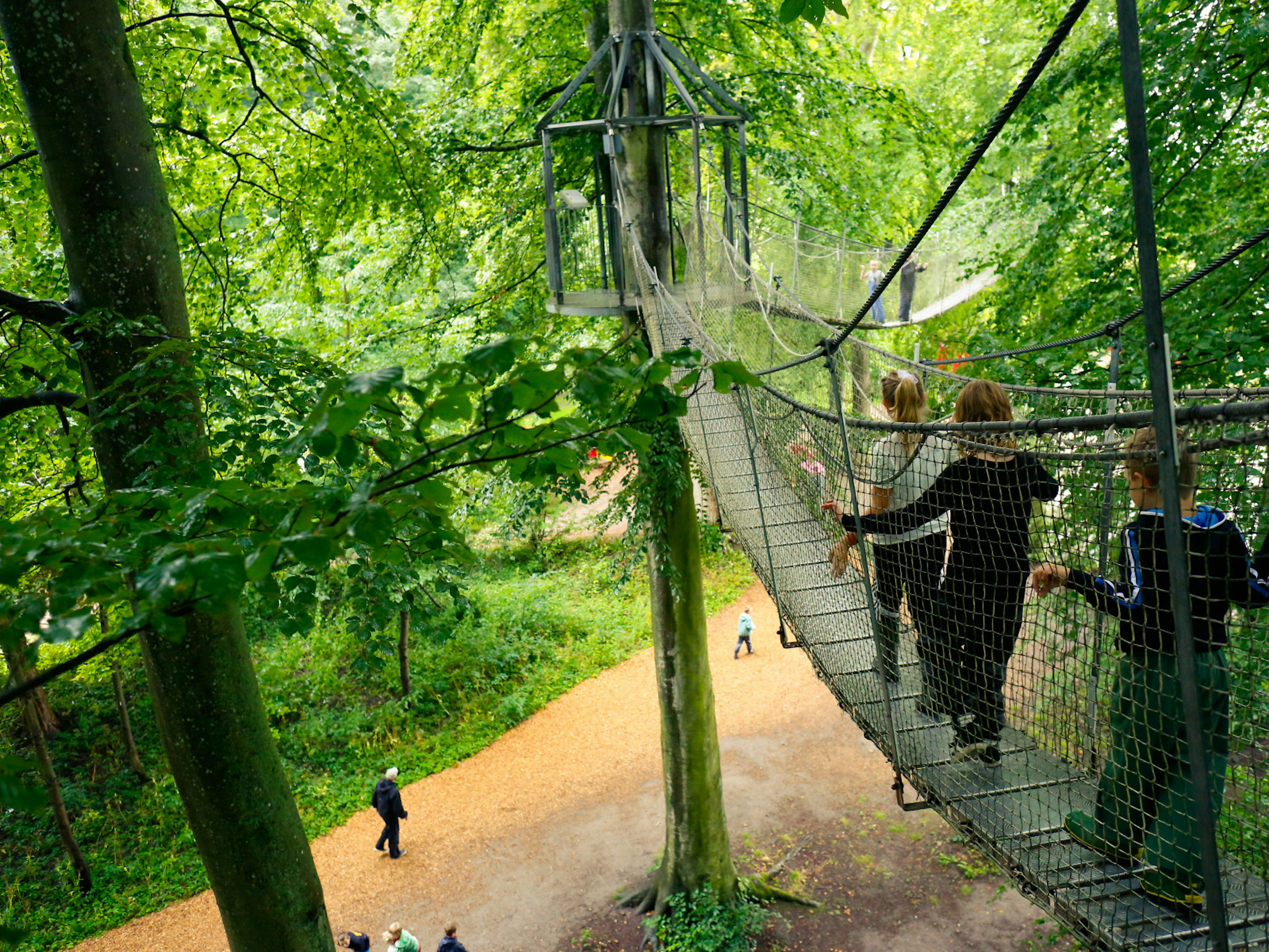 Three children on the tree-top walk at Egeskov Slot