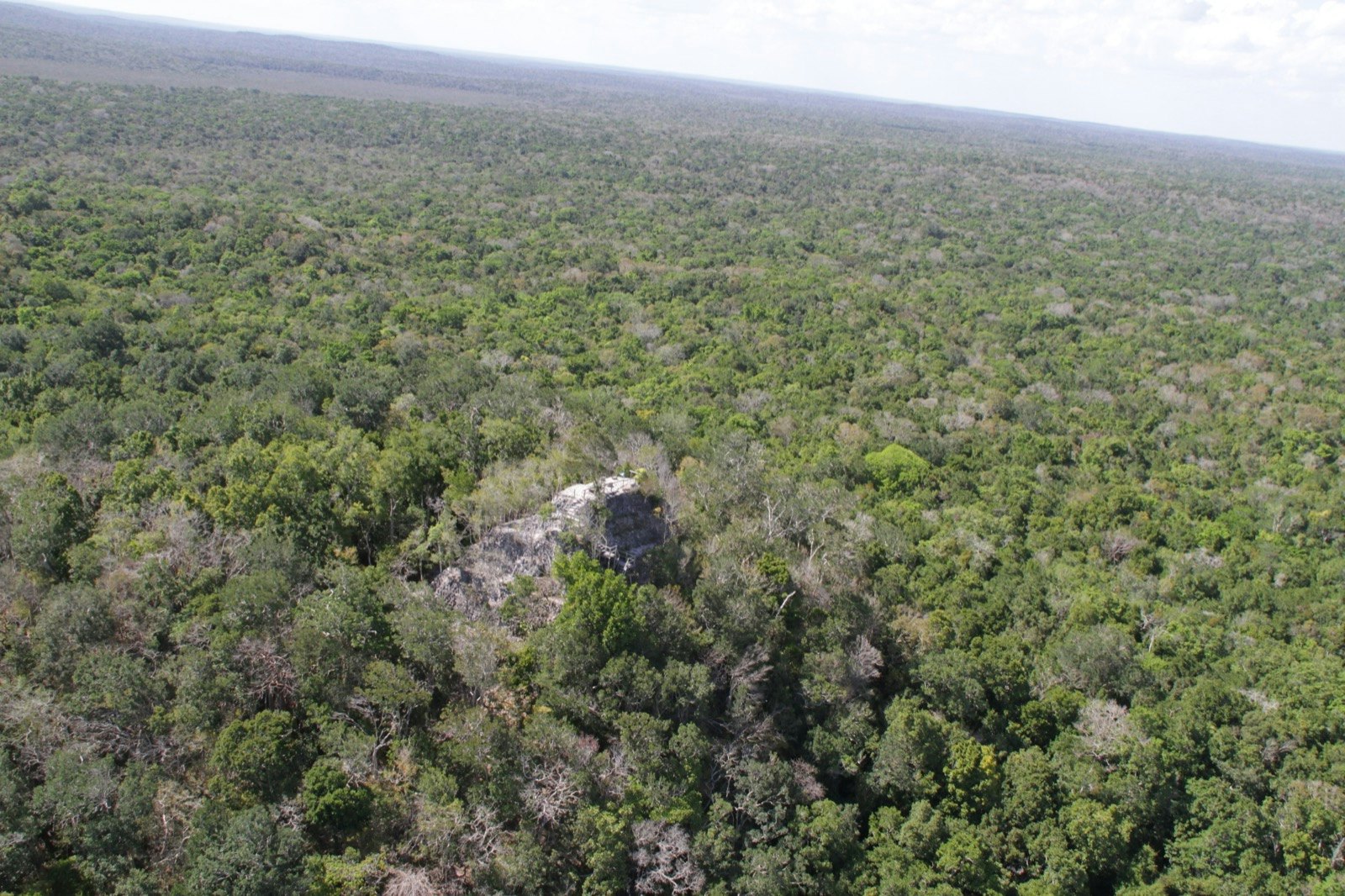 The tip of La Danta, a Mayan pyramid located in Guatemala, sticks out above the tree line in the El Peten Jungle © Ray Bartlett / Ĵý