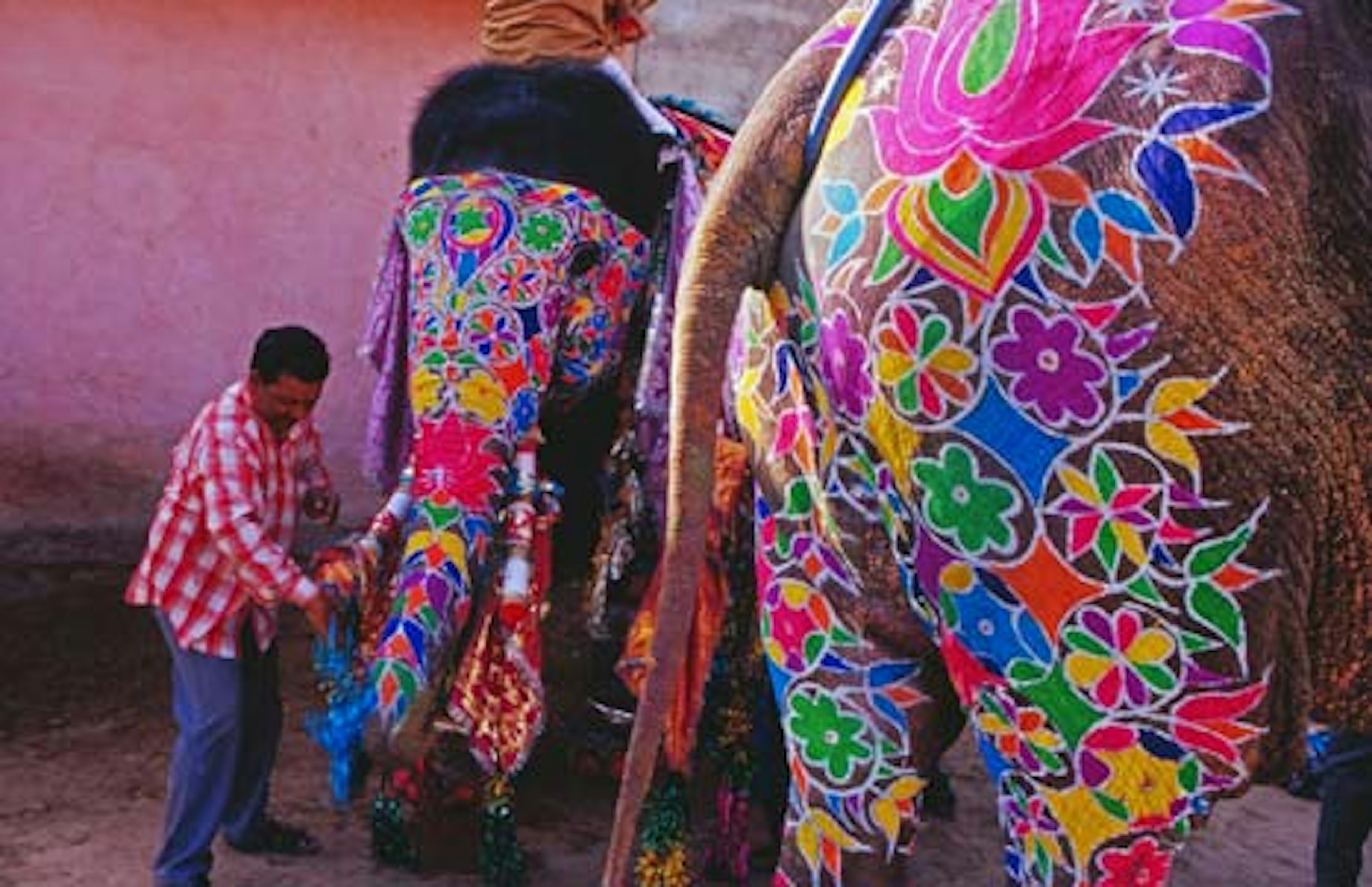 Elephant Festival preparation, Jaipur. Image by Richard I'Anson.