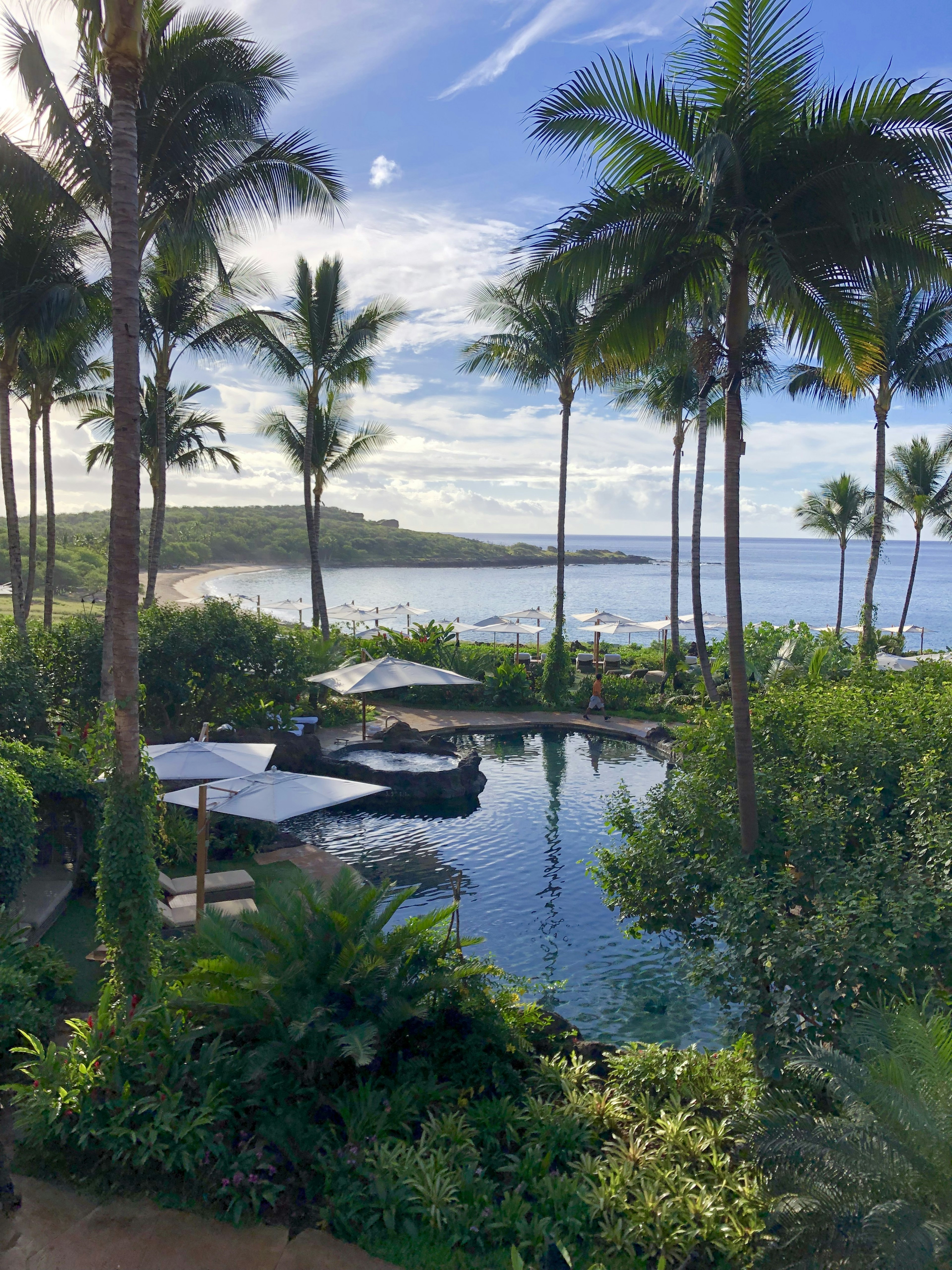 A brilliant blue sky is reflected in a small, lagoon-shaped pool with towering palm trees surrounding it and lots of tropical plants