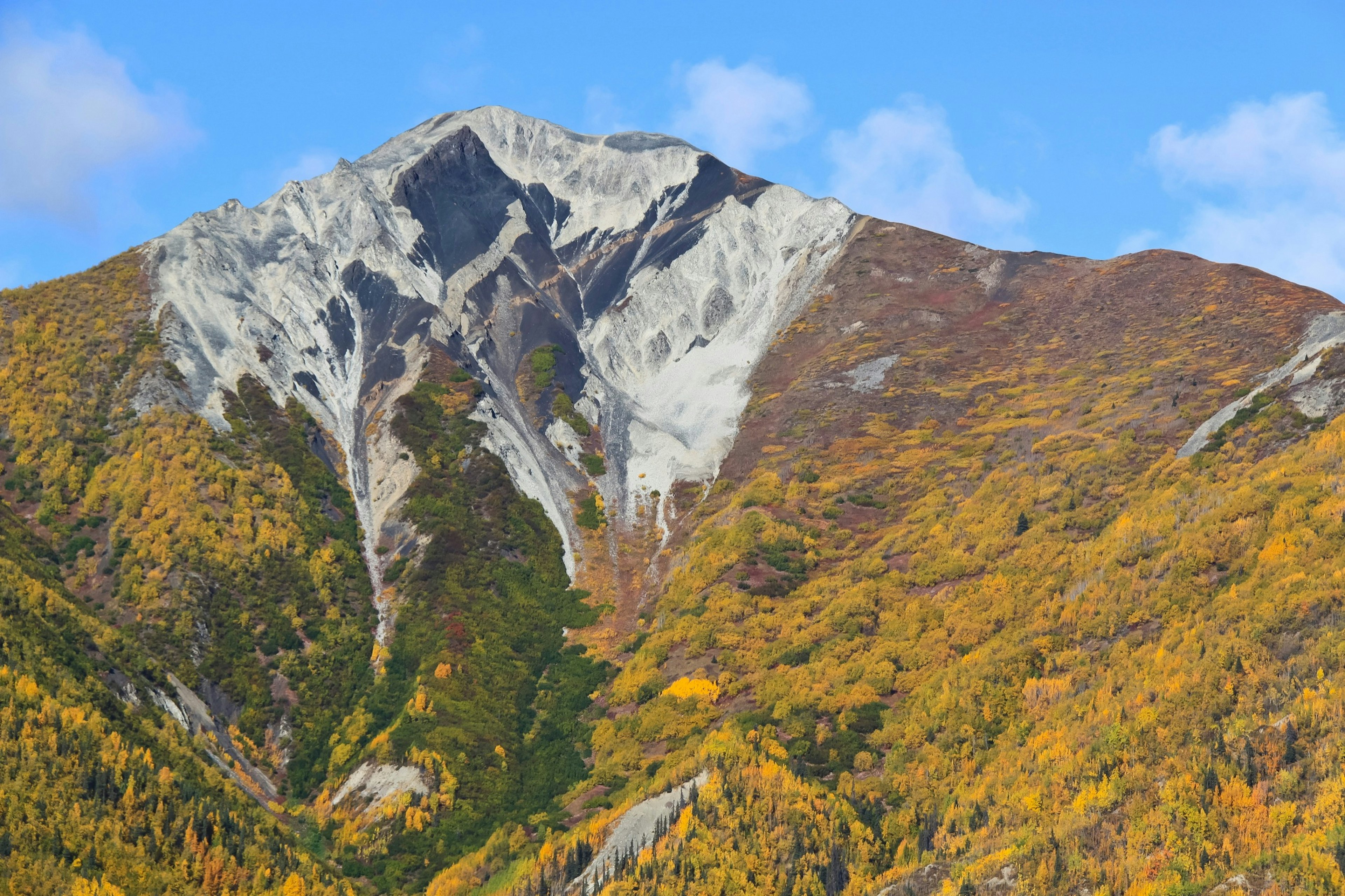 Fall colors mix with geologic colors on Wrangell Mountains near McCarthy, Alaska