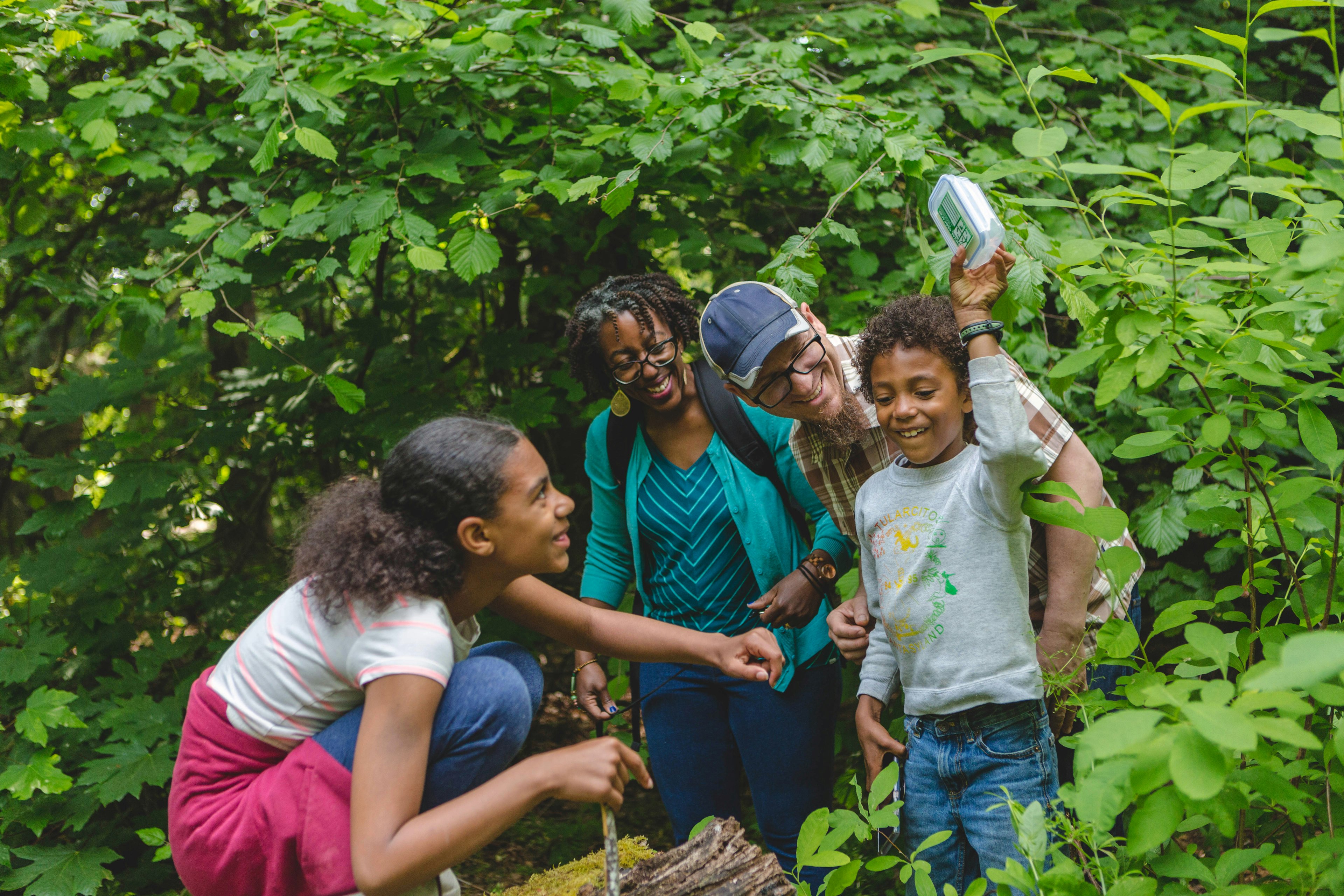 A family standing in woodland are laughing as they search for a geocache