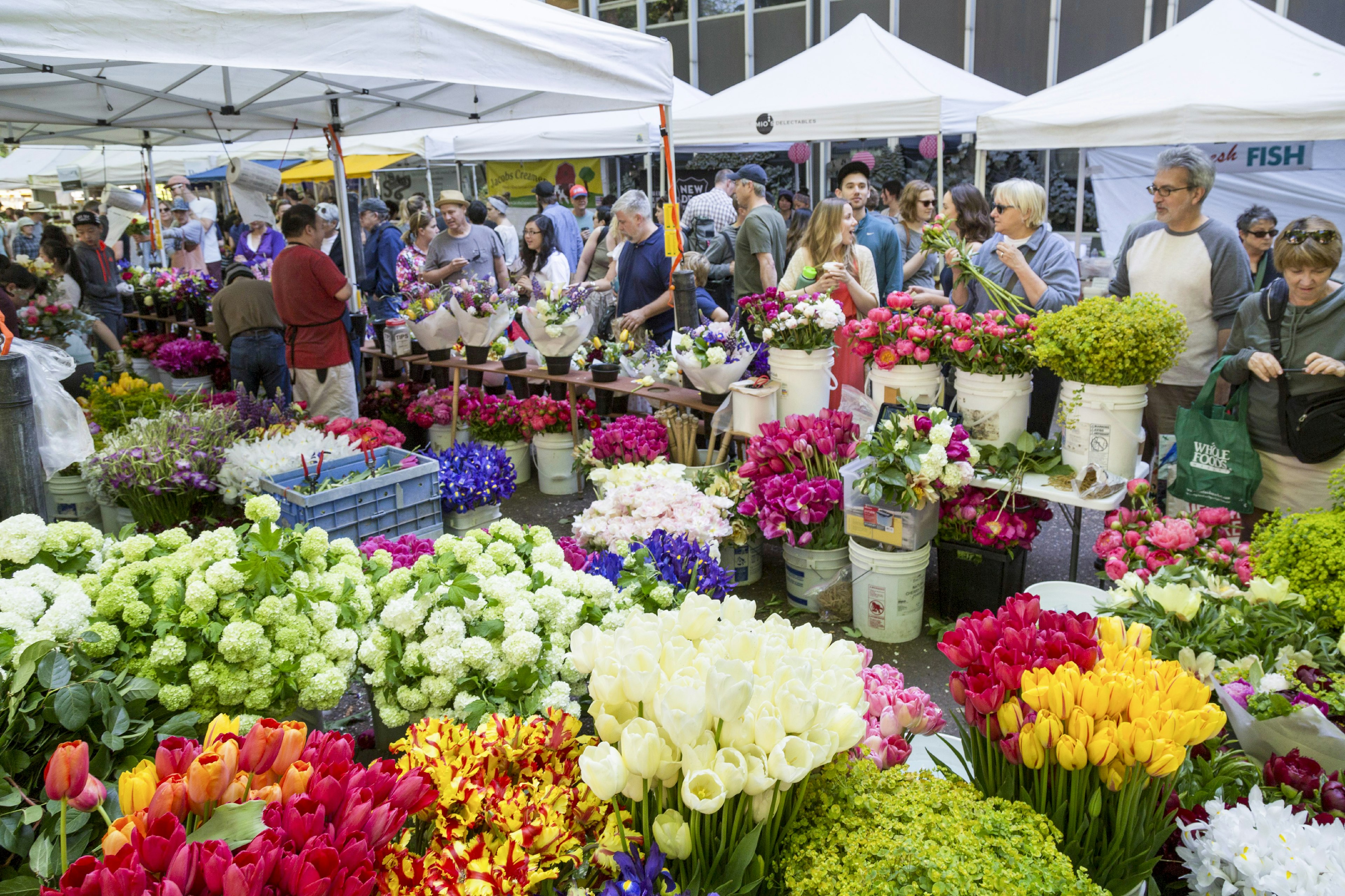 Saturday Farmers Market in Spring, Portland State University, Portland, OR, USA. (Photo by: Jumping Rocks/UIG via Getty Images)
4037_19_y8a0275
Farmers Market, Floral, Flowers, Oregon, Portland, Portland State, Spring