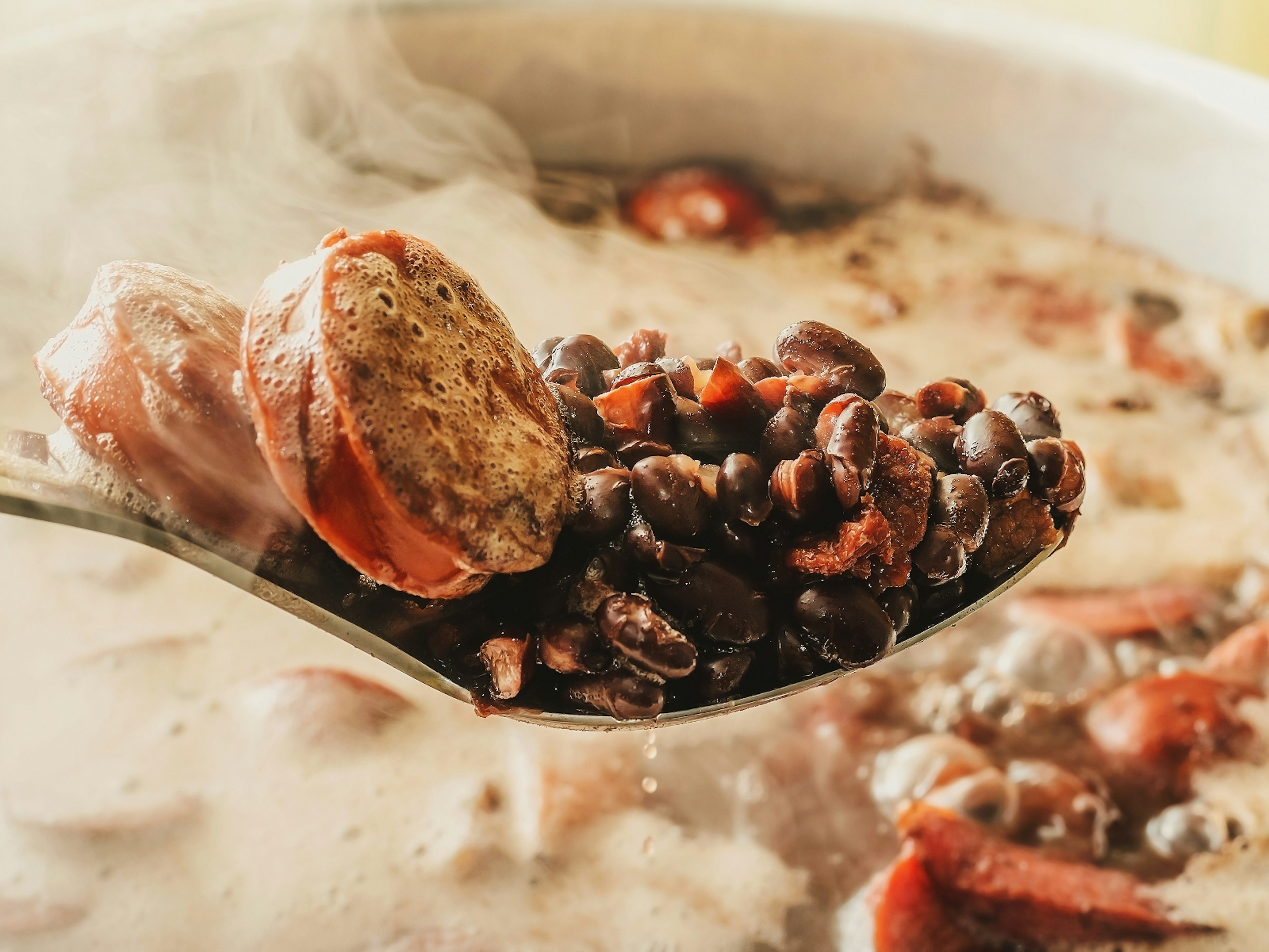 A pot of feijoada simmering on the stove ? Vinicius Bacarin / Shutterstock