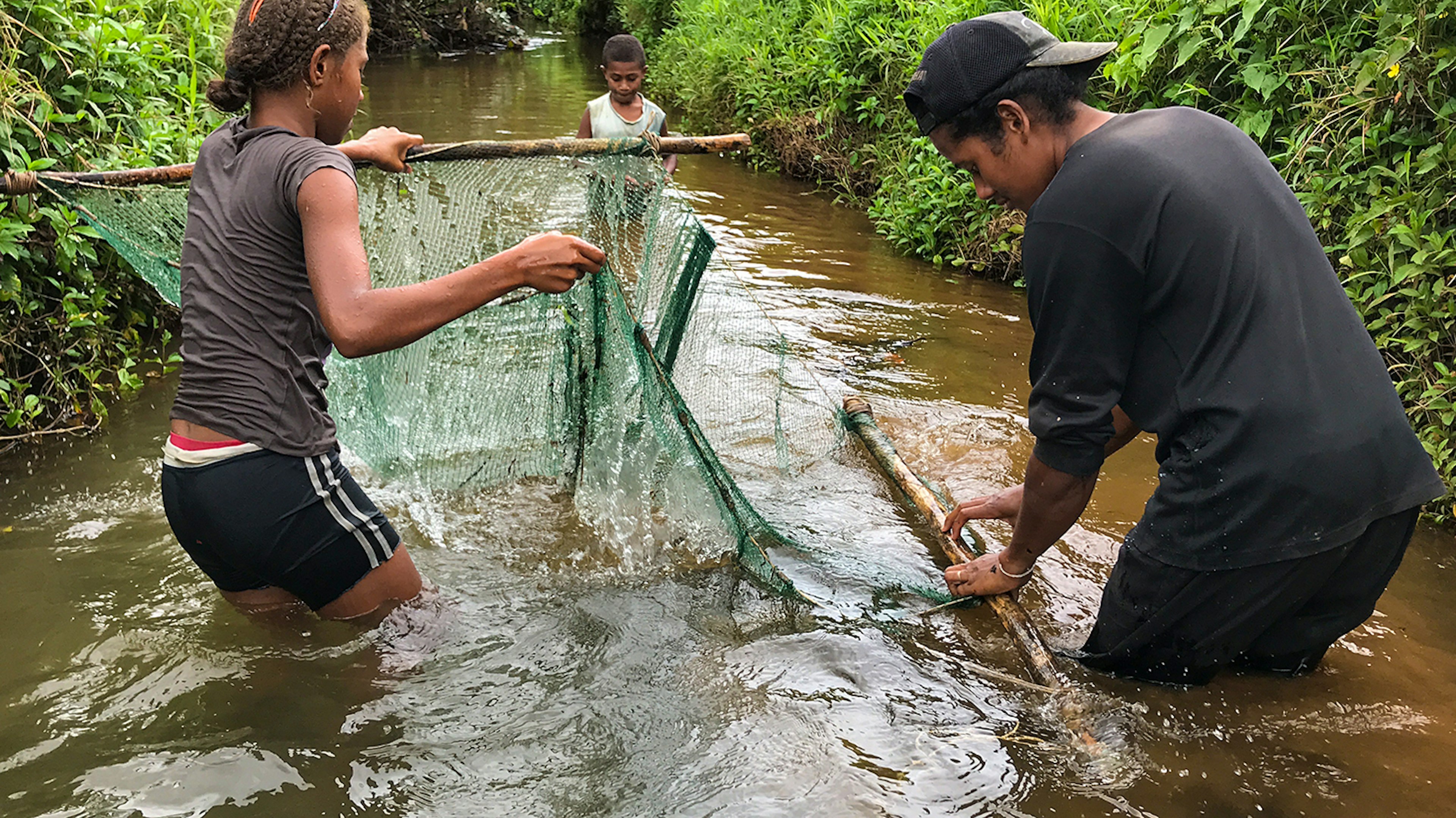 A group of people hold a net in murky water as they hunt for eel