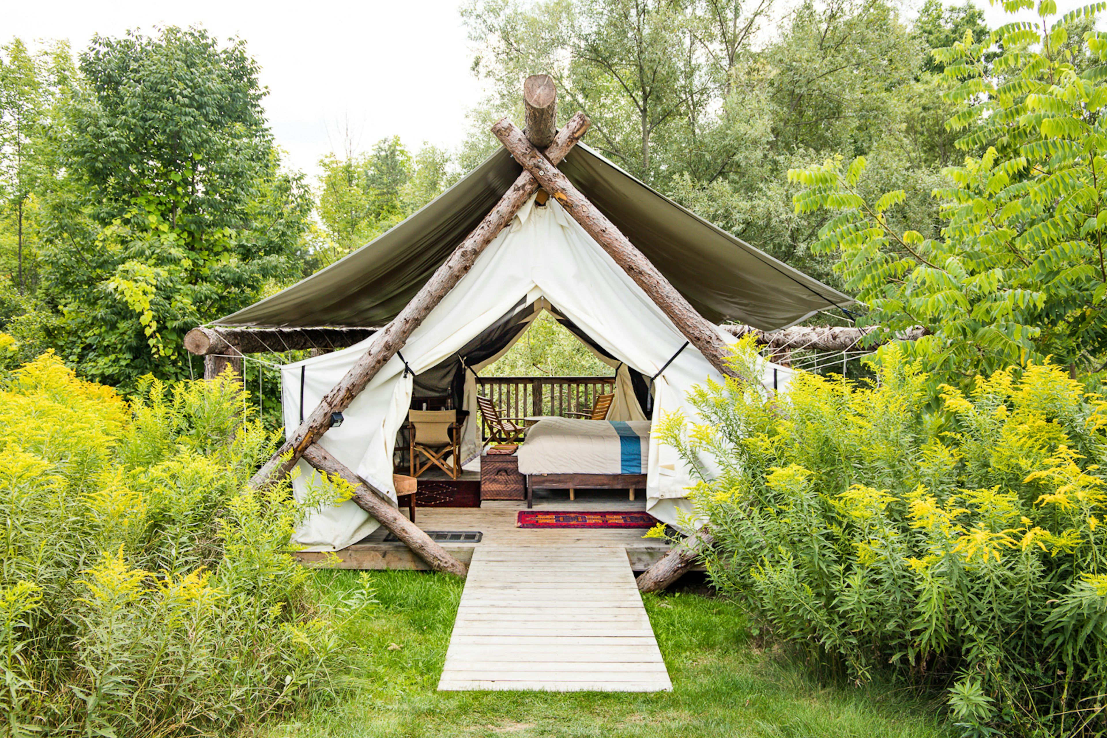 A large tent supported by thick logs, surrounded by bushes and trees