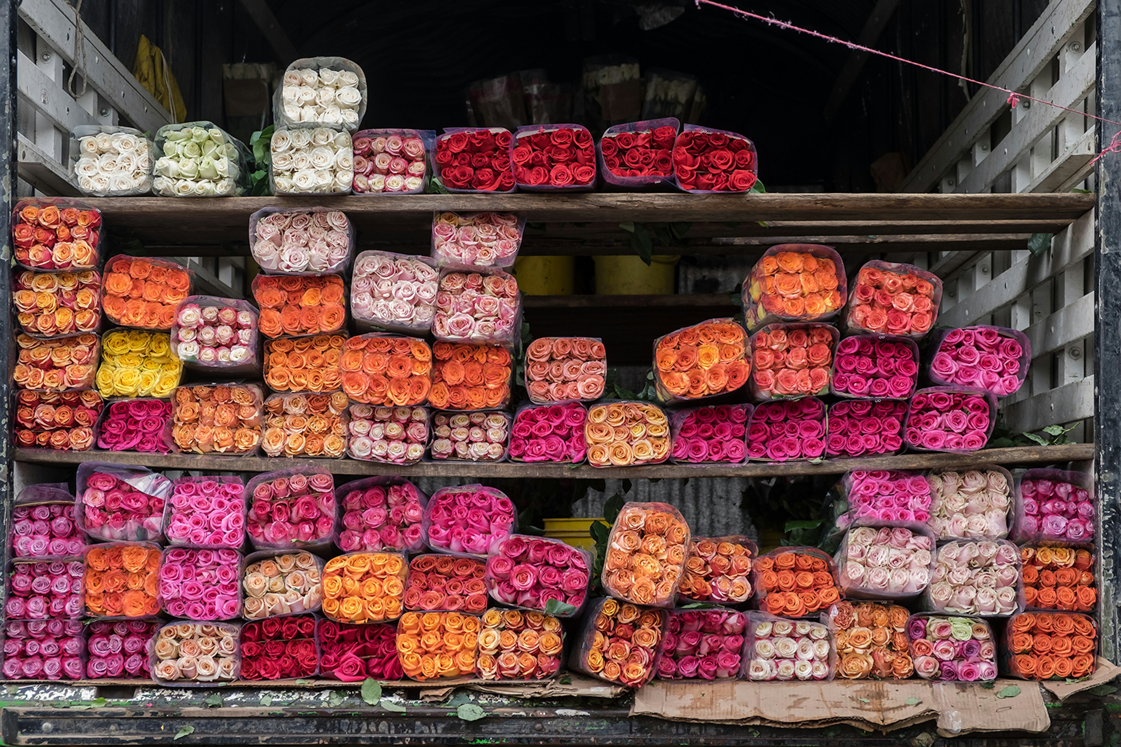 Bundles of orange, pink and red flowers sit in bundles on wooden shelves in ǲǳá, Colombia