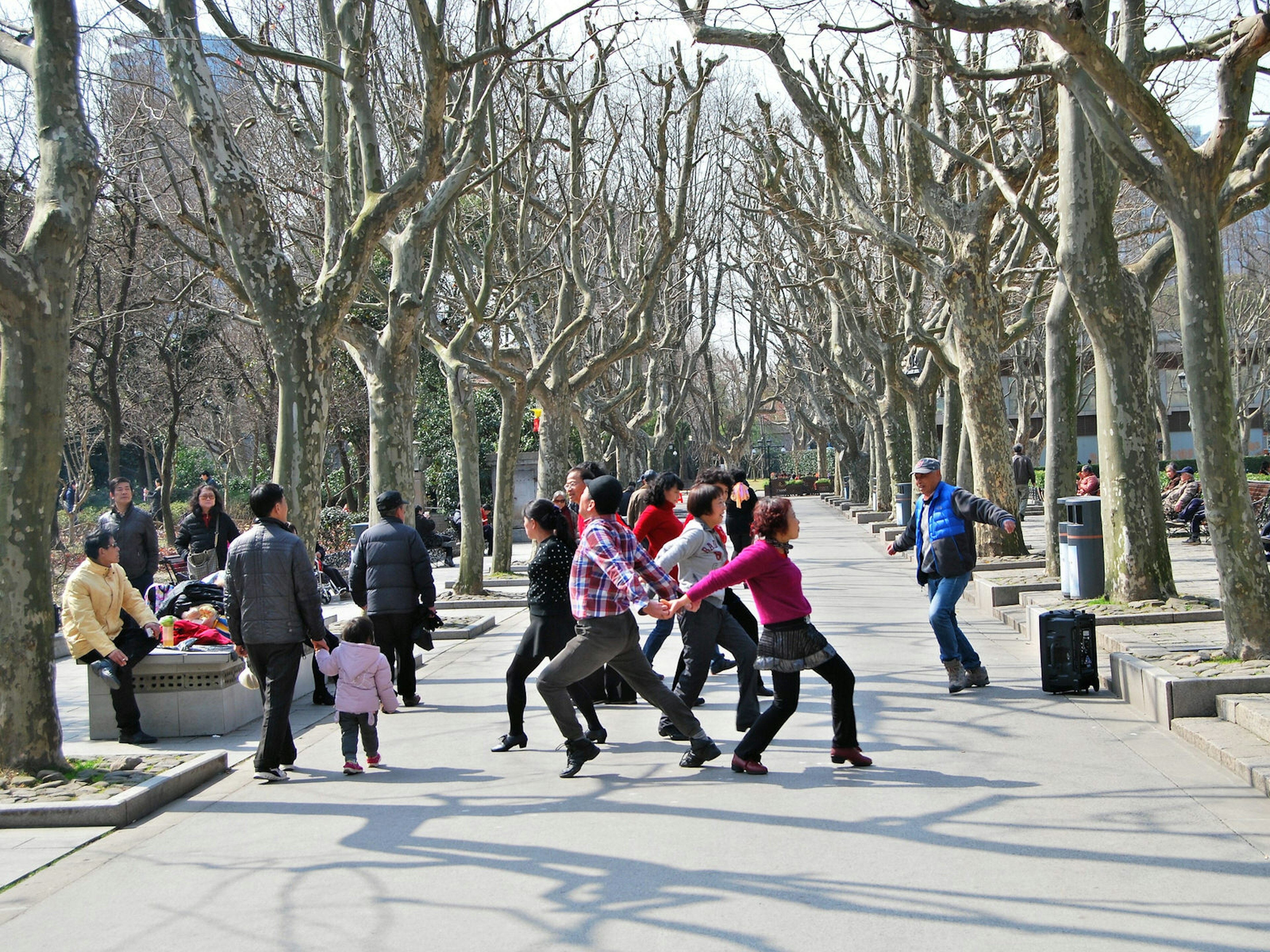 Locals often practice tai chi in Fuxing Park © Rosie Draffin / Lonely Planet