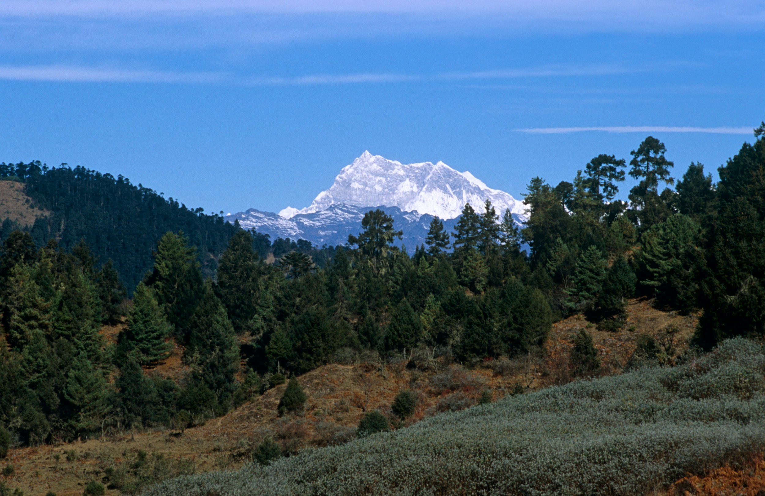 Behind a forested ridge in the foreground is a dramatic mountain in the distance; its upper slopes are covered in a dusting of snow.